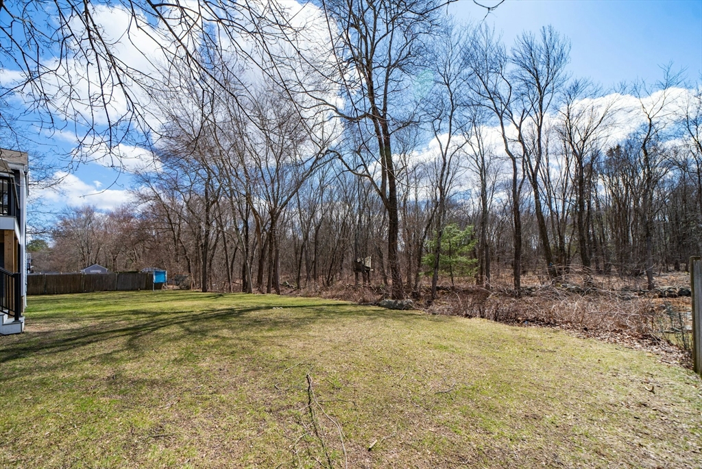 25 Longmeadow Road Medfield, MA 02052 - Photo 37 of 37