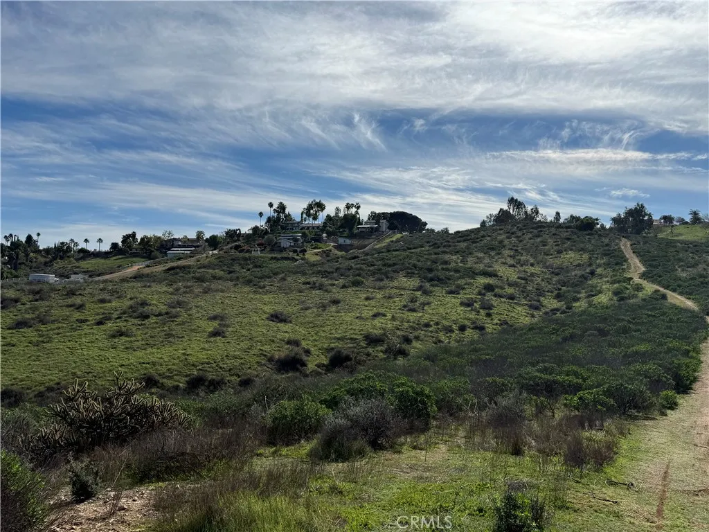 a view of a bunch of trees in a field