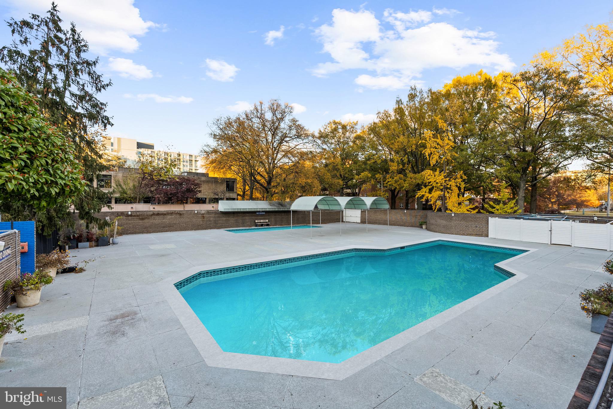 1301 Delaware Avenue Southwest, Unit N108 Washington, DC 20024 - Photo 34 of 39 a view of a swimming pool with a yard and large trees