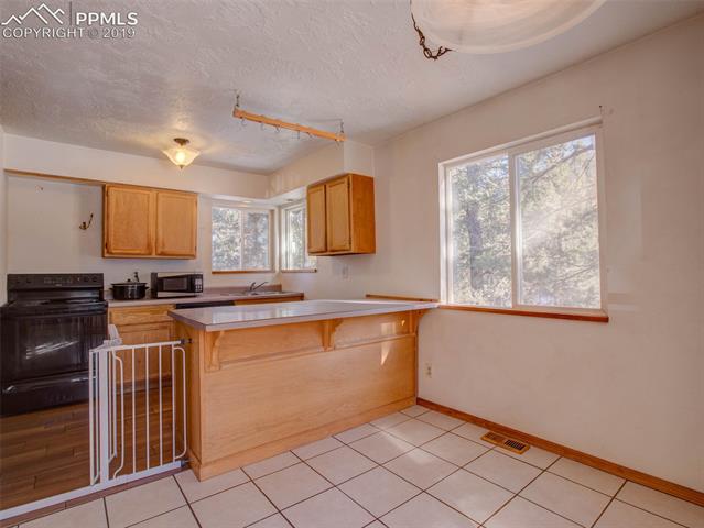 420 Kutsu Ridge Road Florissant, CO 80816 - Photo 9 of 29