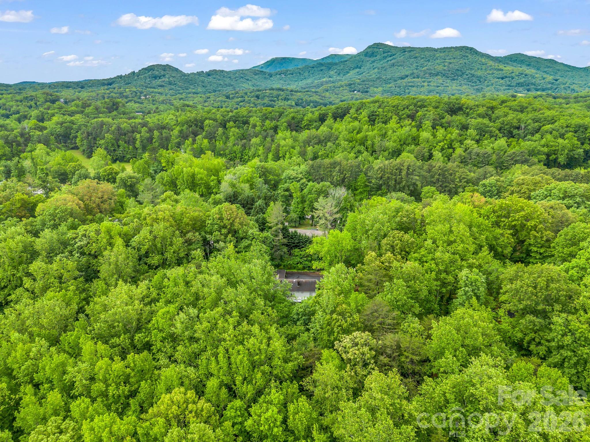 57 Tate Lane Tryon, NC 28782 - Photo 47 of 48 a view of a lush green outdoor space with a lake view