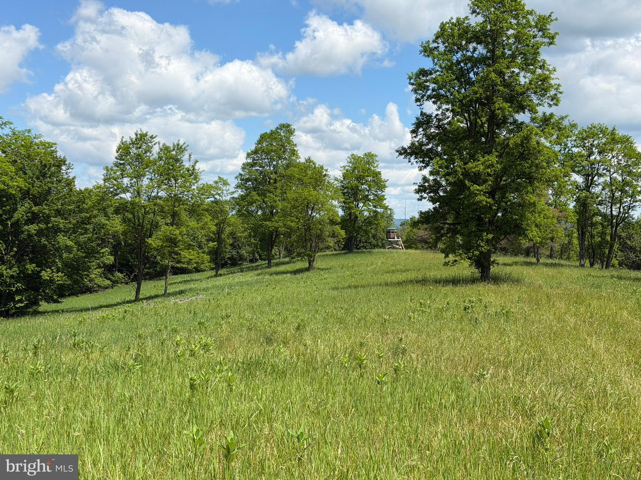 848 Sugar Camp Road Clearfield, PA 16830 - Photo 51 of 118