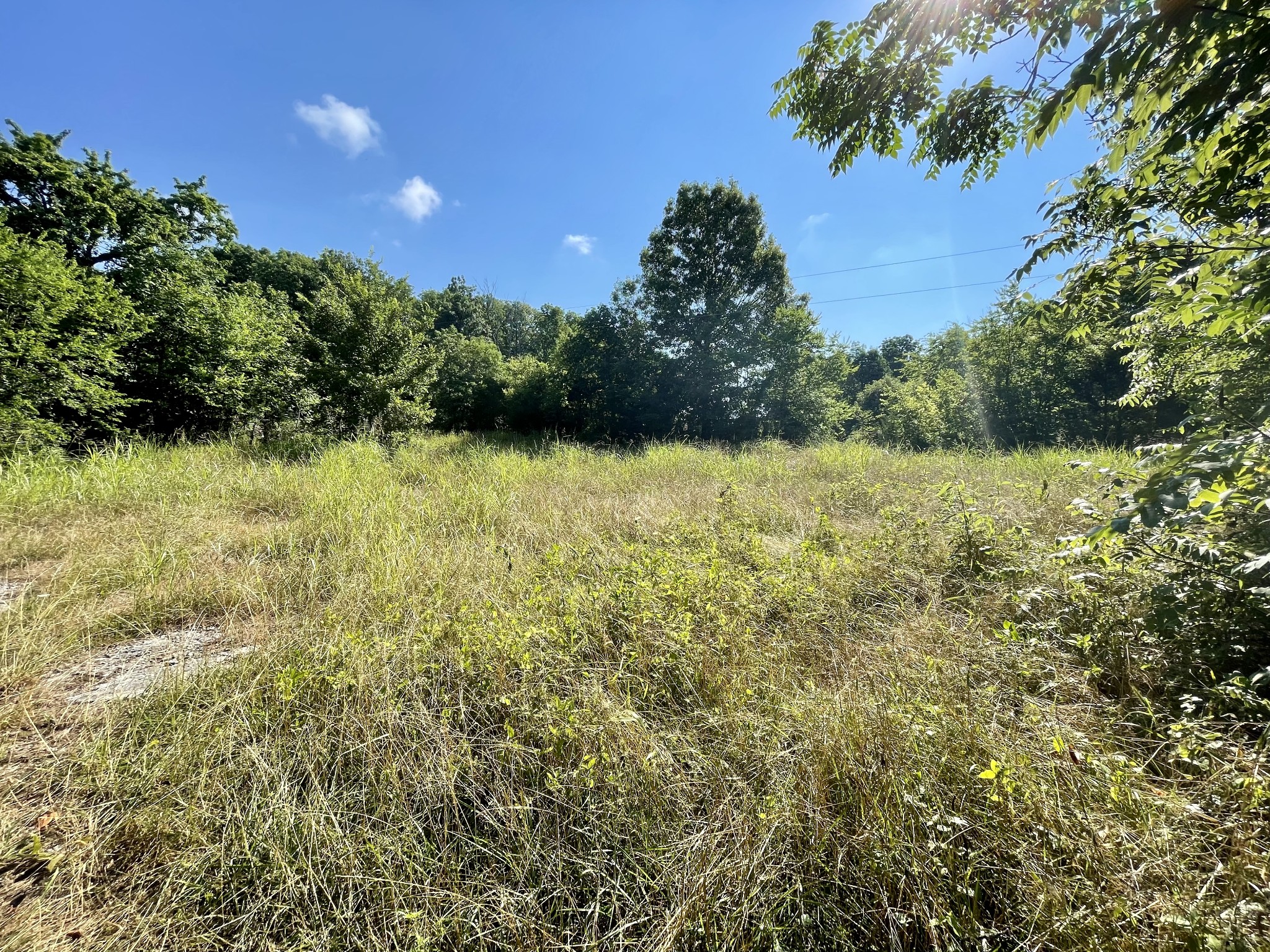 346 Athens Road Lebanon, TN 37087 - Photo 1 of 11 a view of outdoor space and yard