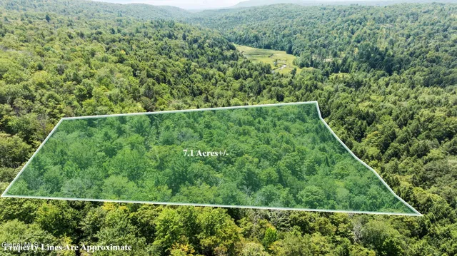 $42,900 | L21.14 Old Town Way, Stephentown, NY 12168