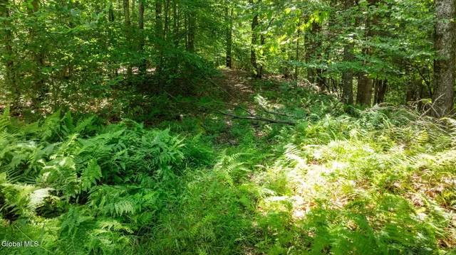 $42,900 | L21.14 Old Town Way, Stephentown, NY 12168