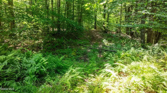 $42,900 | L21.14 Old Town Way, Stephentown, NY 12168