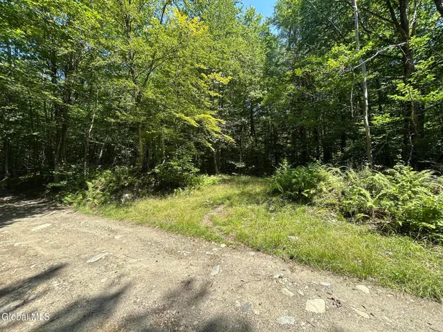 $42,900 | L21.14 Old Town Way, Stephentown, NY 12168