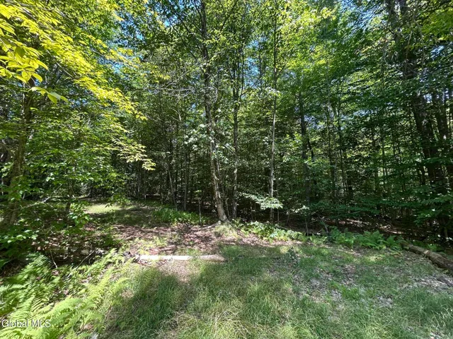 $42,900 | L21.14 Old Town Way, Stephentown, NY 12168