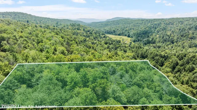 $42,900 | L21.14 Old Town Way, Stephentown, NY 12168