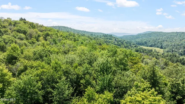 $42,900 | L21.14 Old Town Way, Stephentown, NY 12168