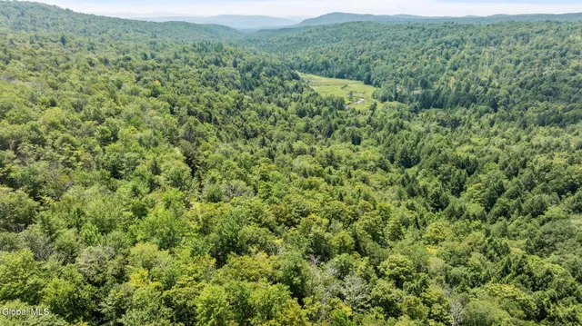 $42,900 | L21.14 Old Town Way, Stephentown, NY 12168