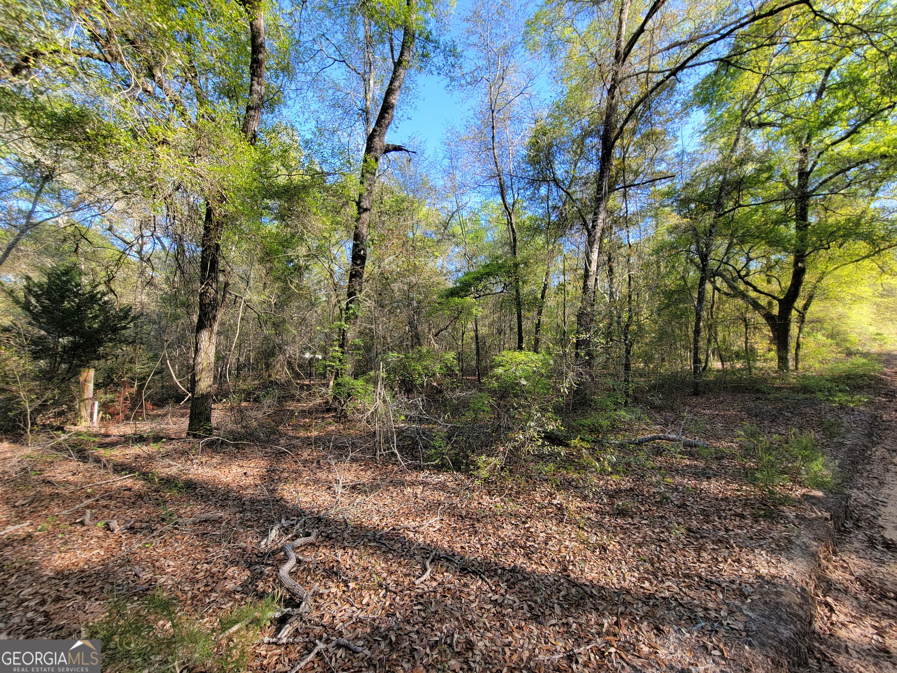 535 Bass Road Reidsville, GA 30453 - Photo 1 of 1 Gallery Image 1