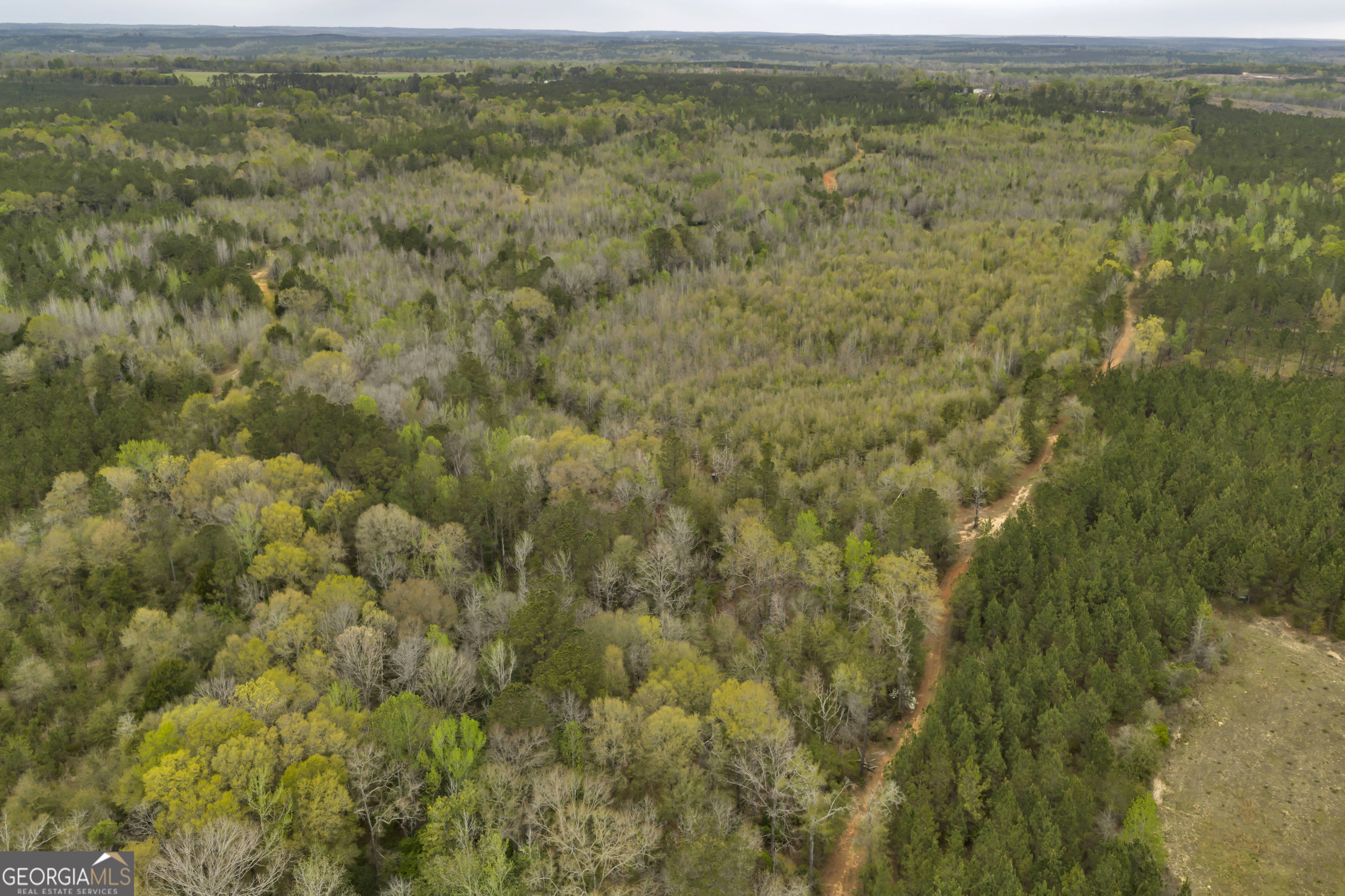 3912 Highway 82 Morris, GA 39867 - Photo 13 of 68