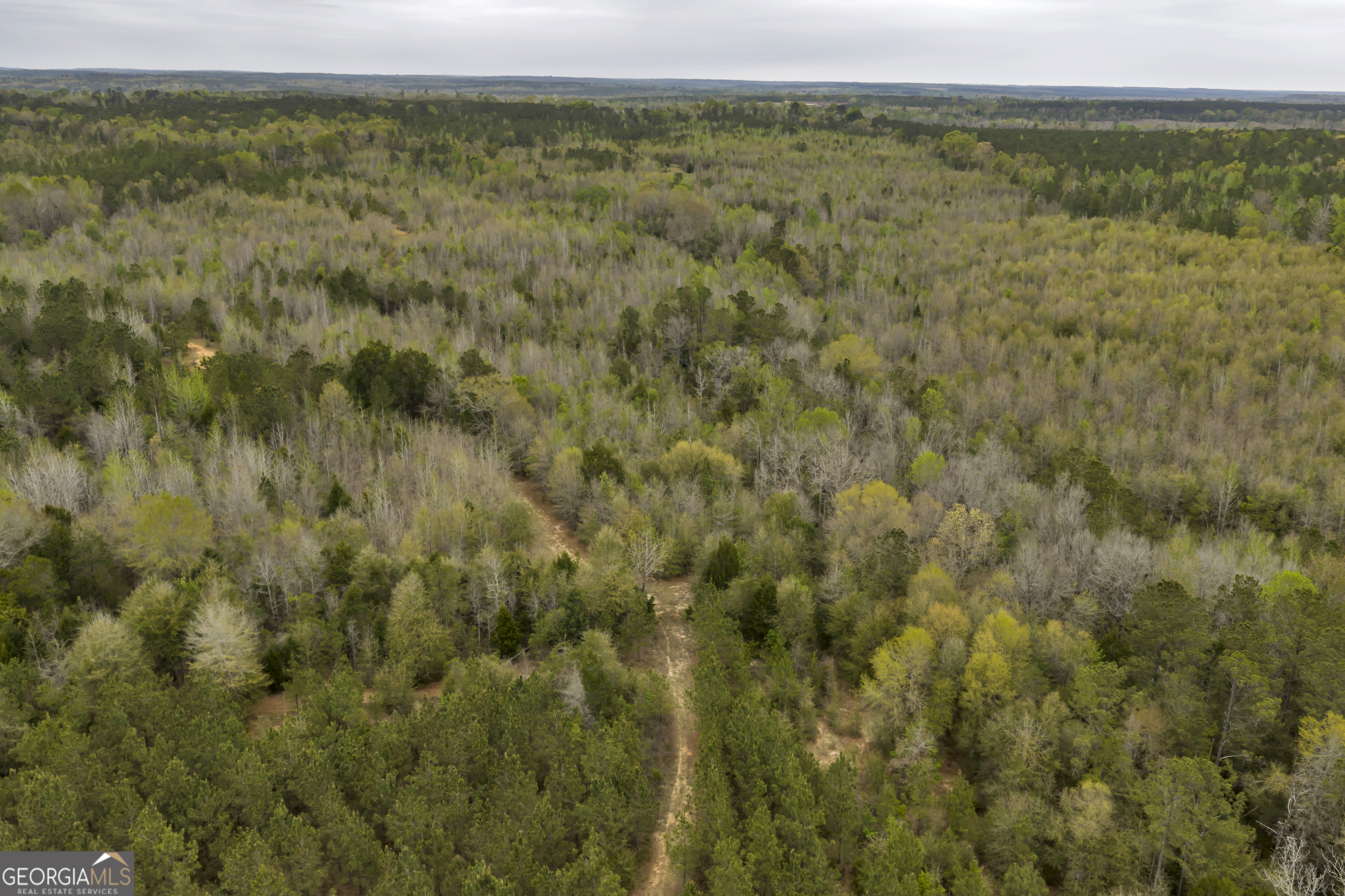 3912 Highway 82 Morris, GA 39867 - Photo 14 of 68
