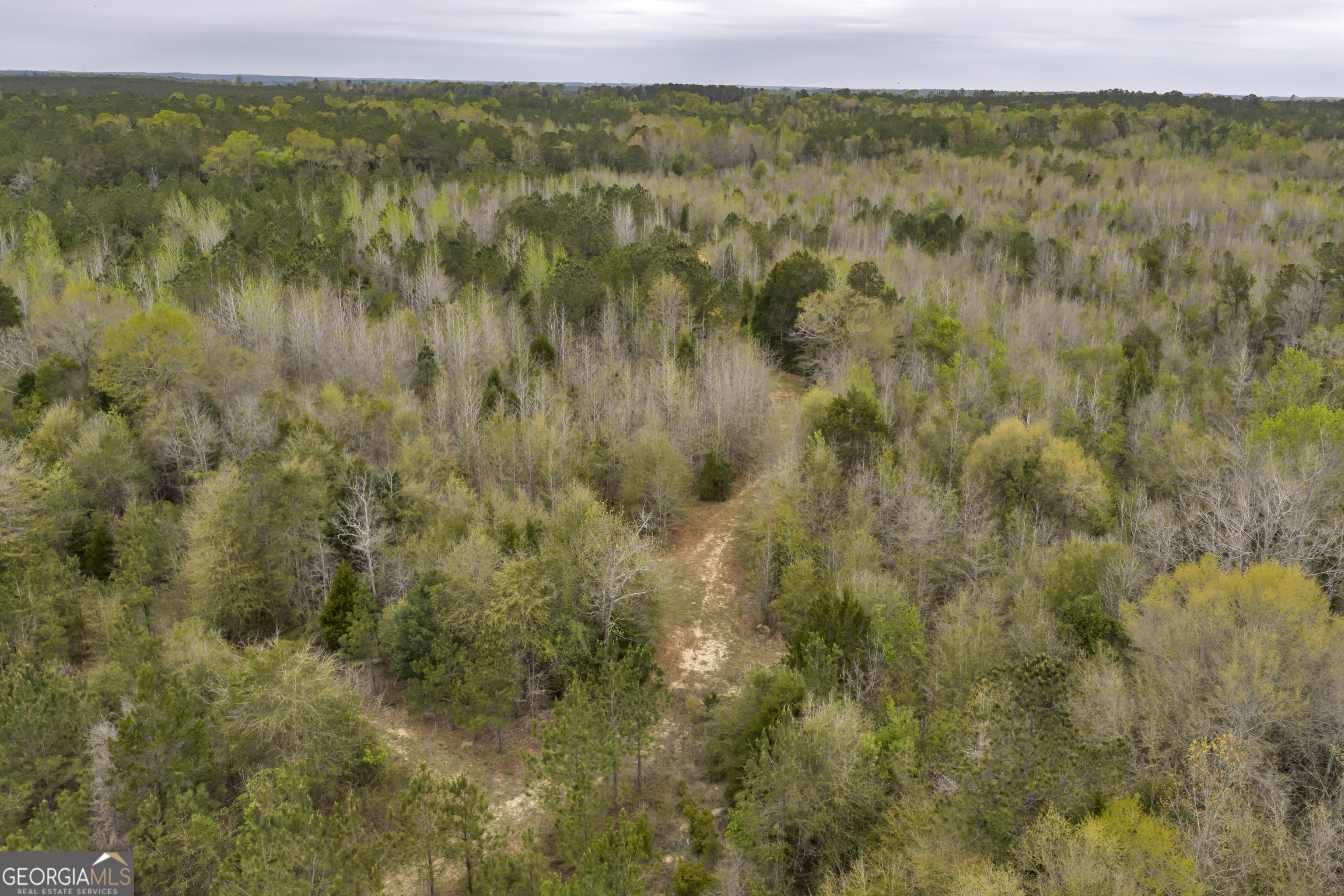 3912 Highway 82 Morris, GA 39867 - Photo 15 of 68