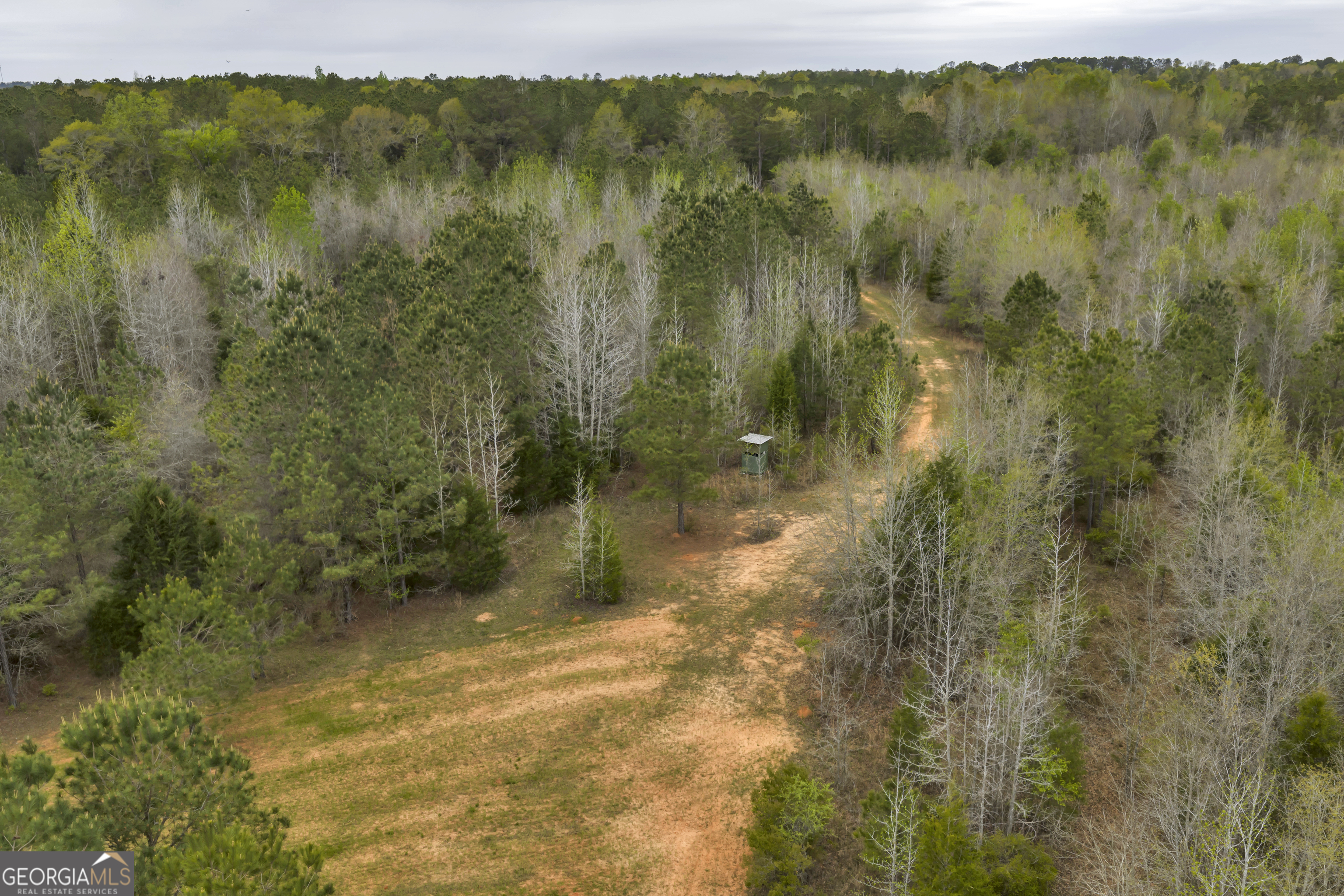 3912 Highway 82 Morris, GA 39867 - Photo 16 of 68