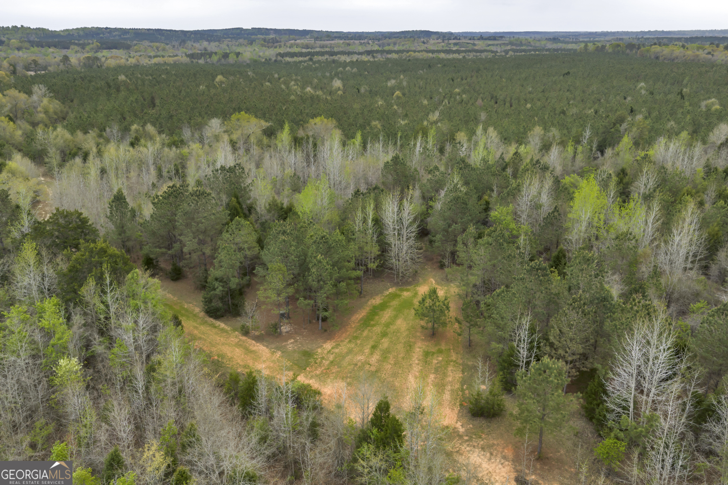 3912 Highway 82 Morris, GA 39867 - Photo 17 of 68