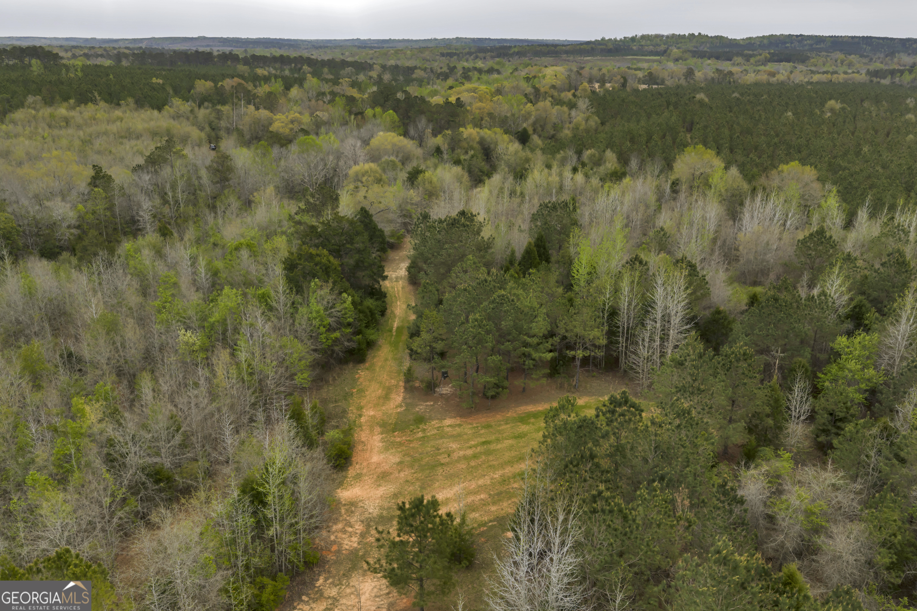 3912 Highway 82 Morris, GA 39867 - Photo 18 of 68