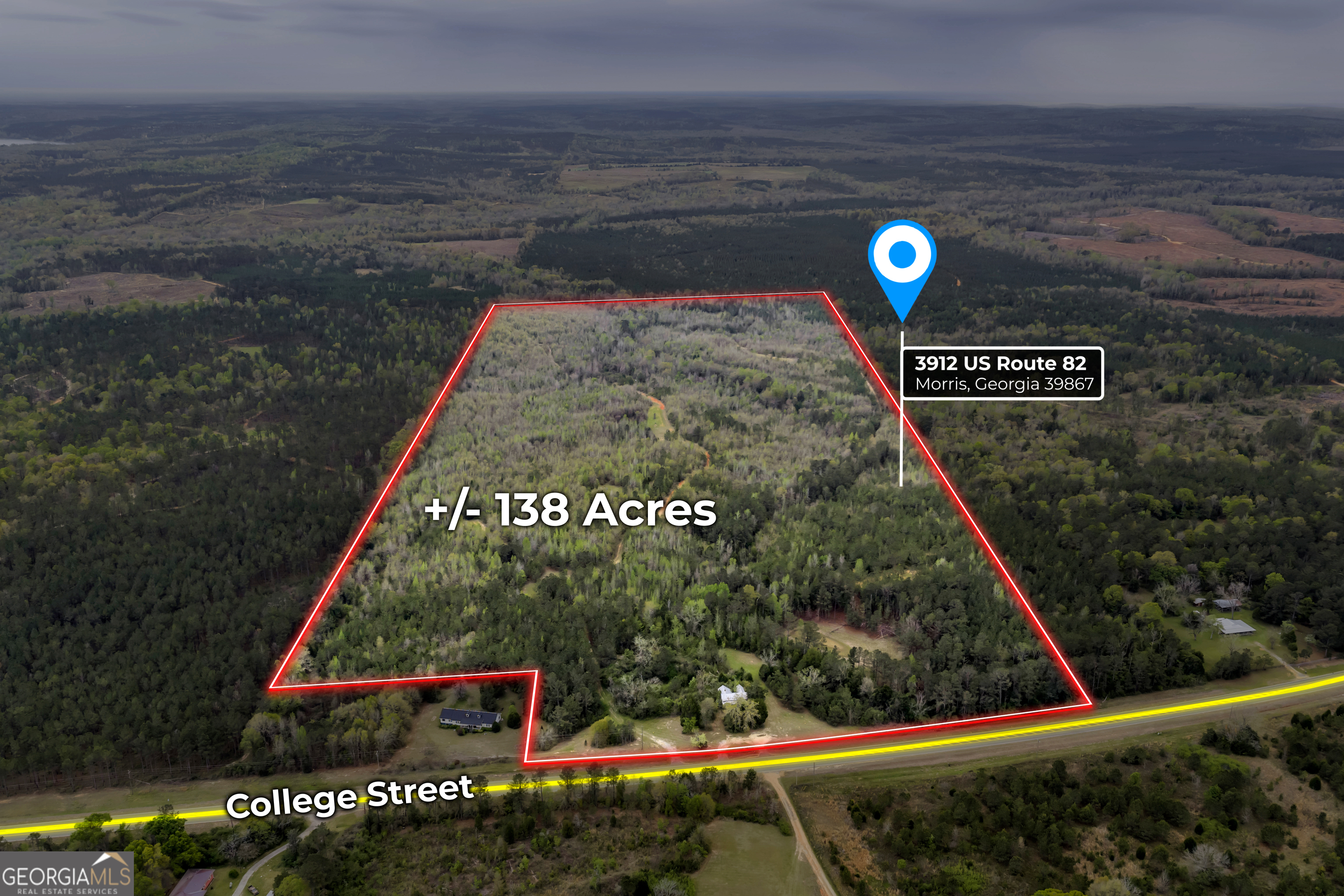 3912 Highway 82 Morris, GA 39867 - Photo 2 of 68