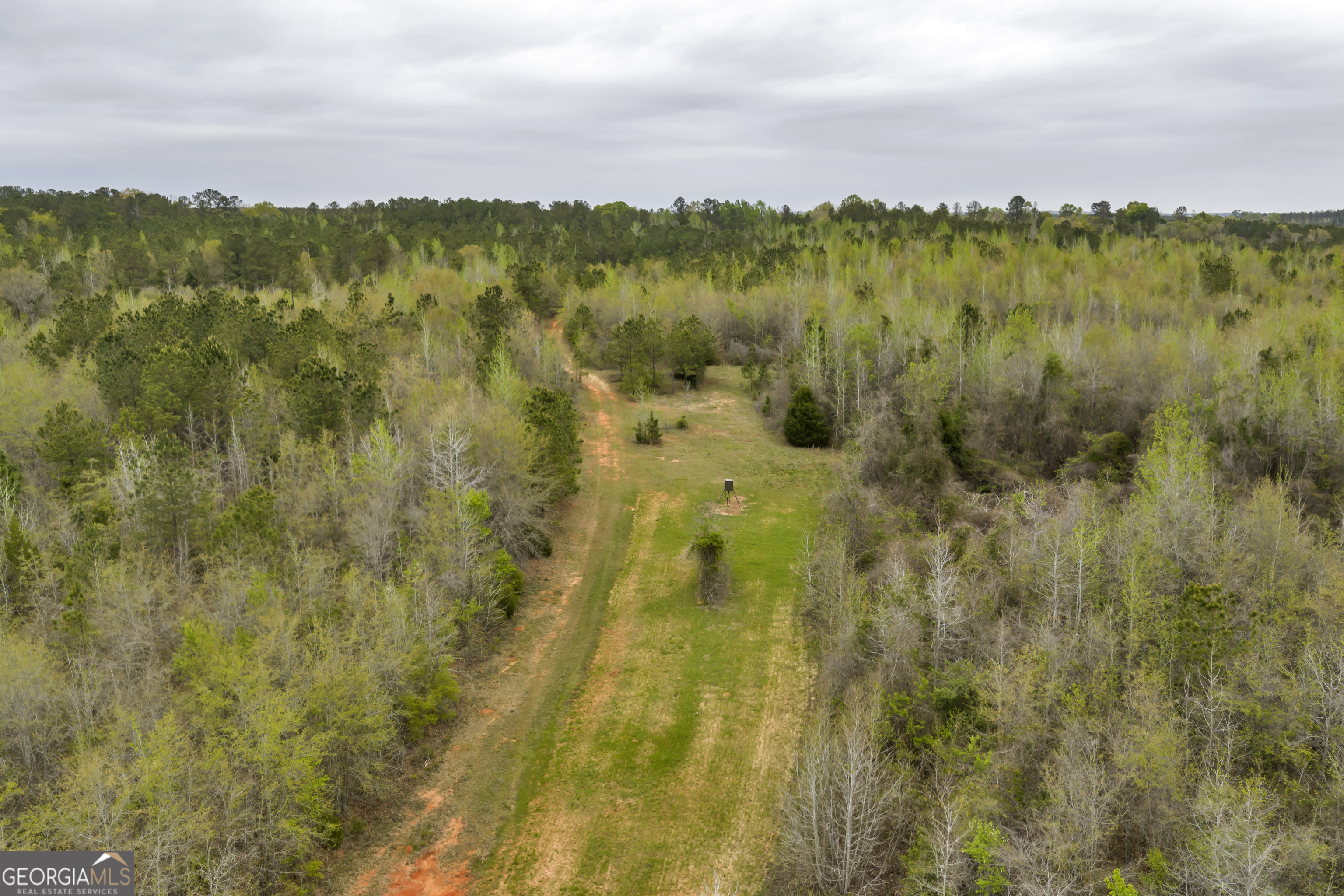 3912 Highway 82 Morris, GA 39867 - Photo 24 of 68