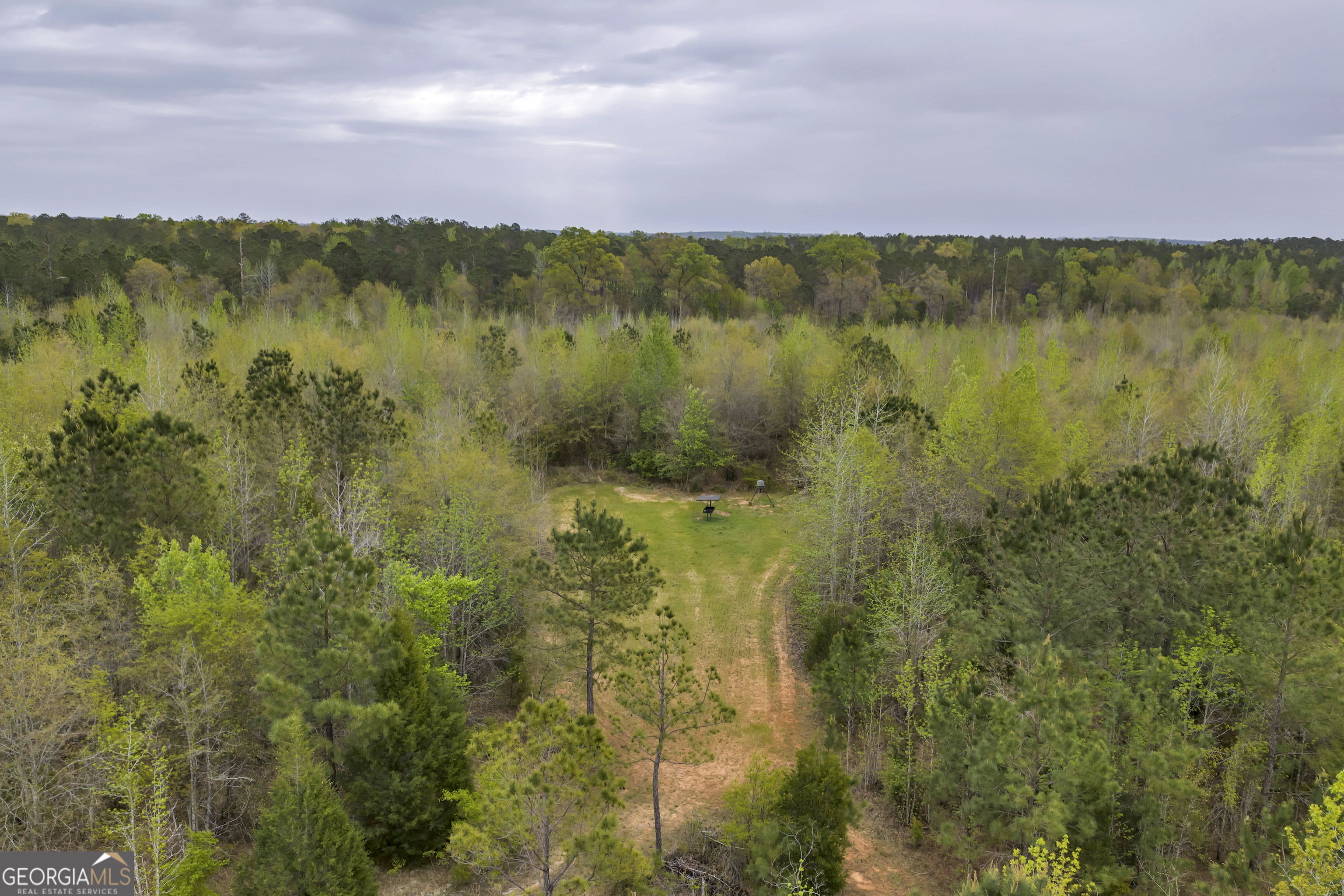 3912 Highway 82 Morris, GA 39867 - Photo 25 of 68