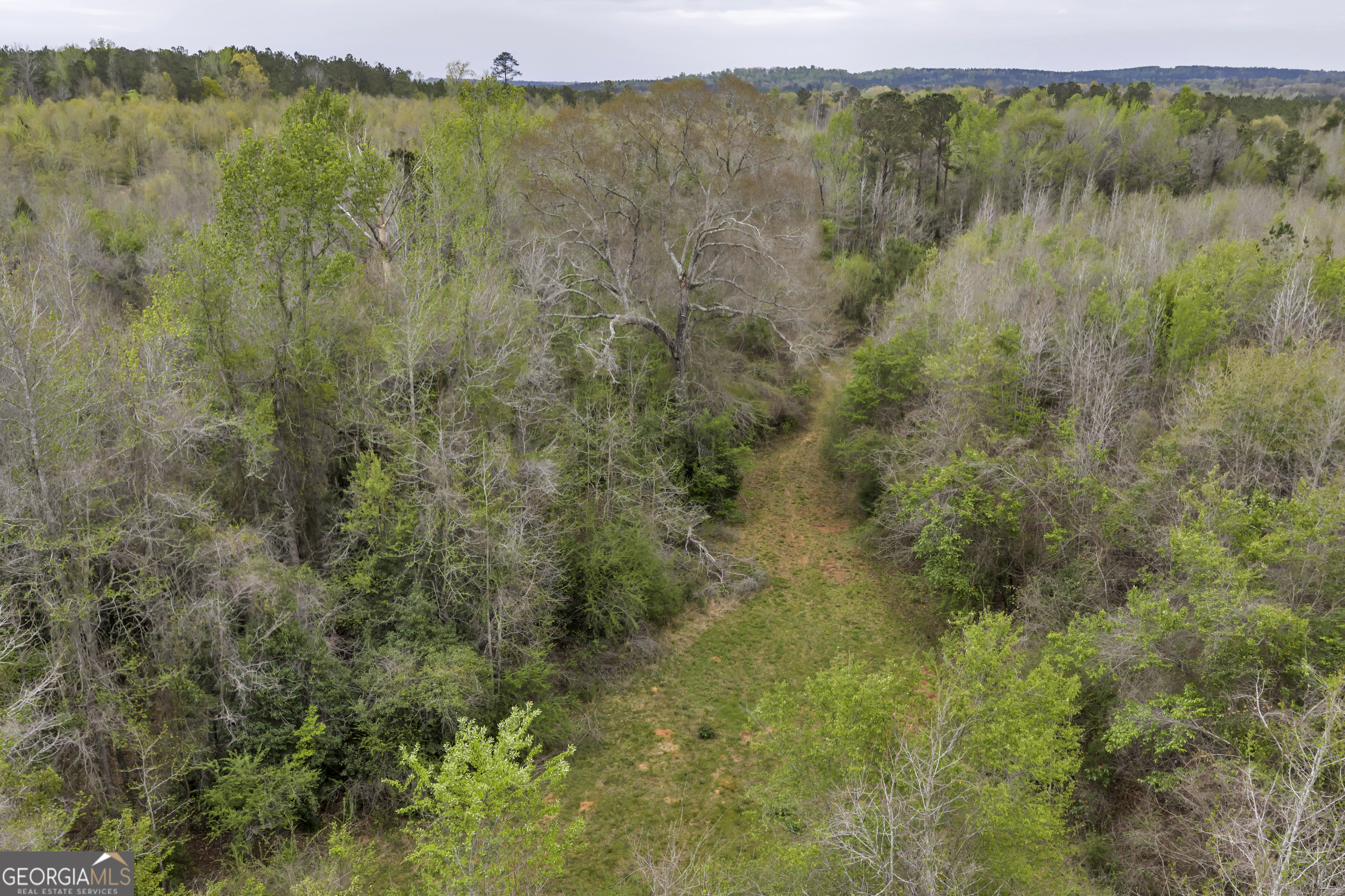 3912 Highway 82 Morris, GA 39867 - Photo 26 of 68