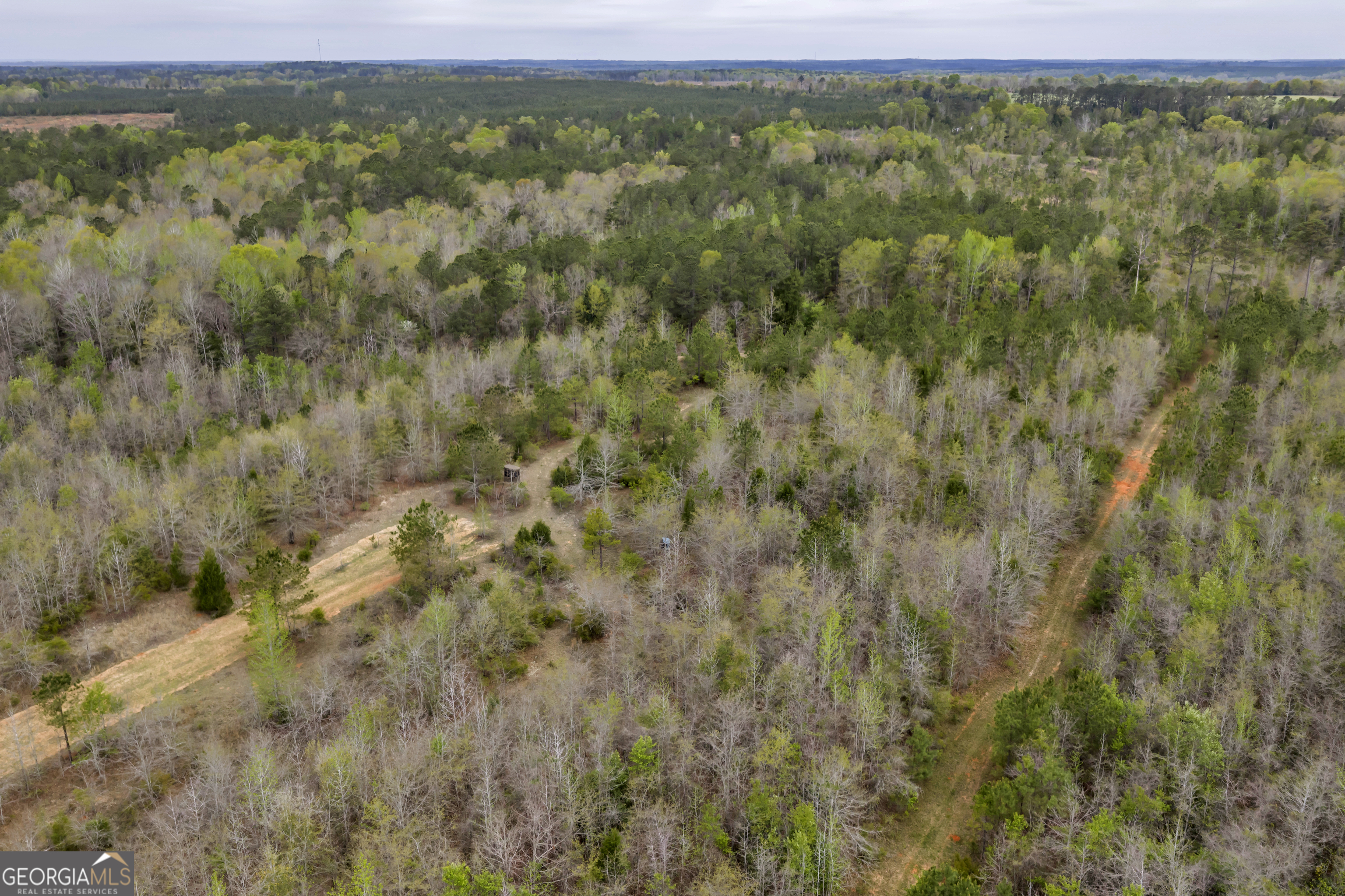 3912 Highway 82 Morris, GA 39867 - Photo 27 of 68