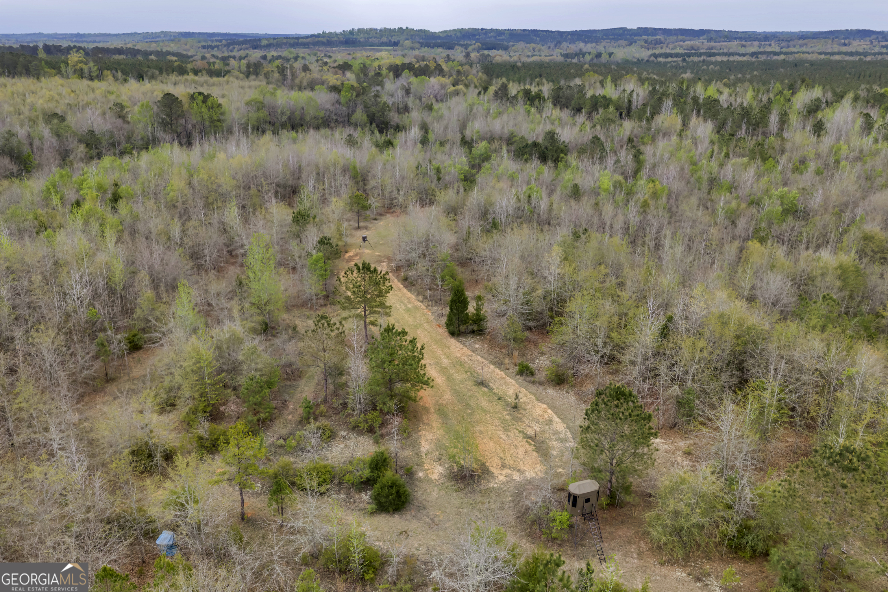 3912 Highway 82 Morris, GA 39867 - Photo 28 of 68
