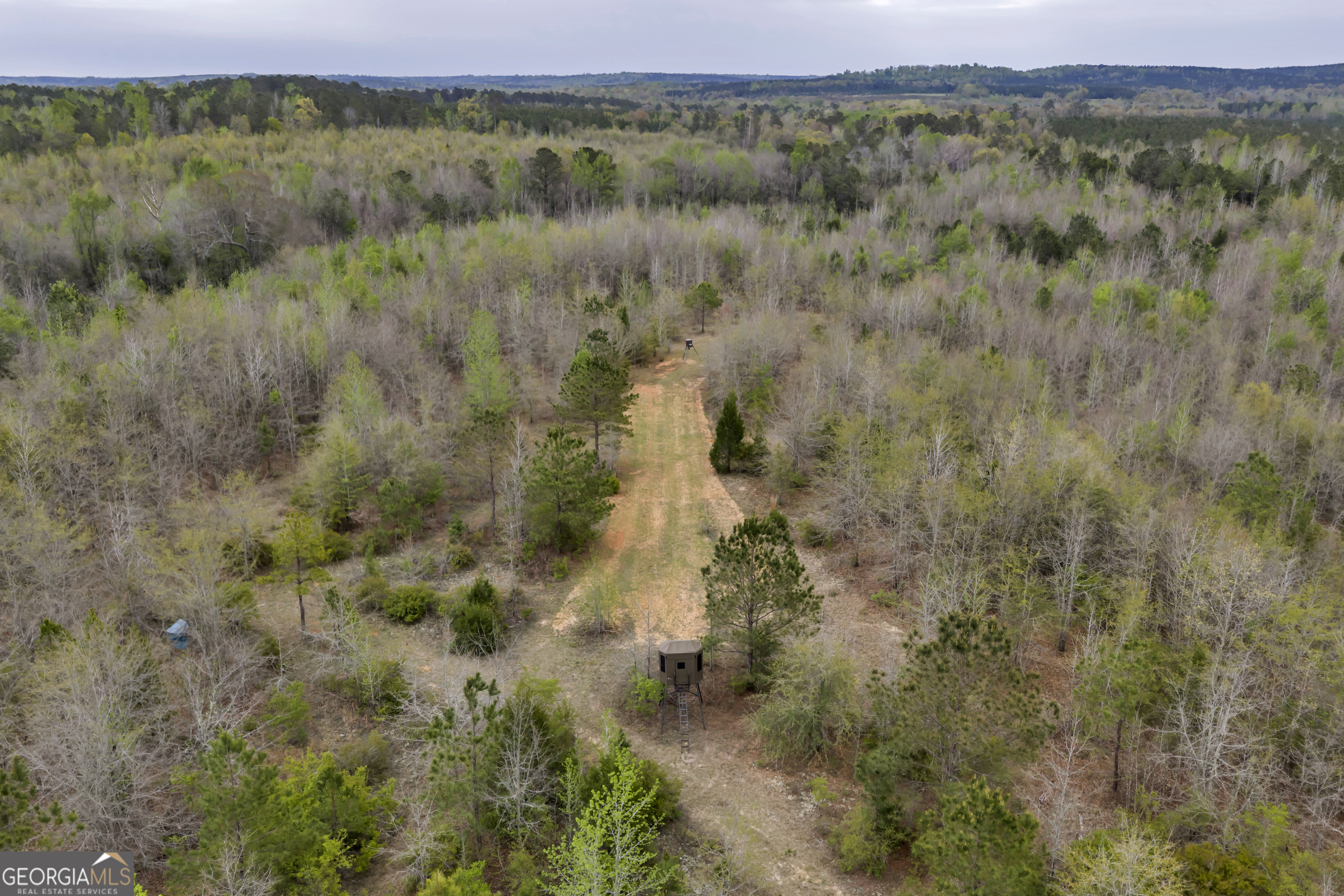 3912 Highway 82 Morris, GA 39867 - Photo 29 of 68
