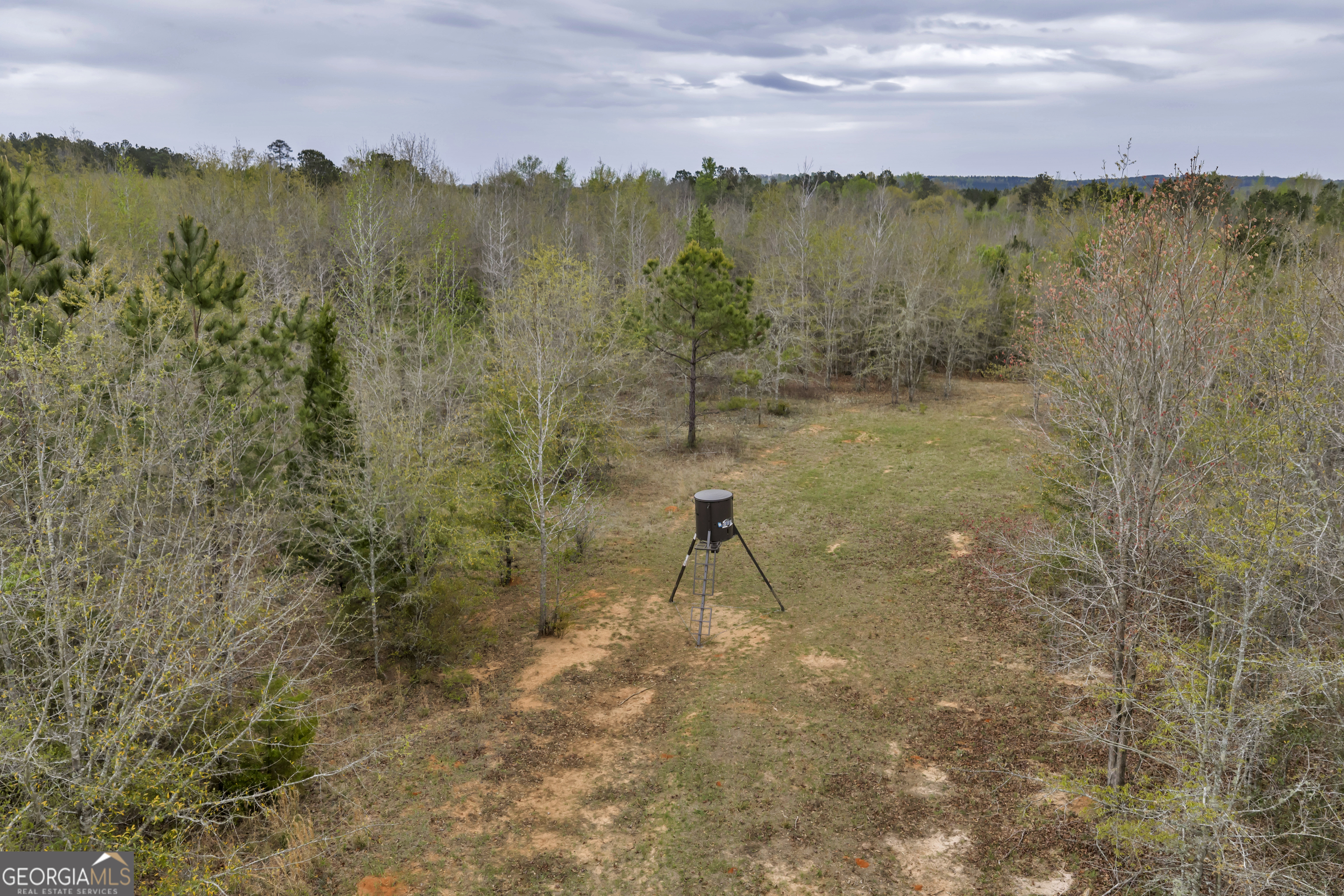 3912 Highway 82 Morris, GA 39867 - Photo 30 of 68