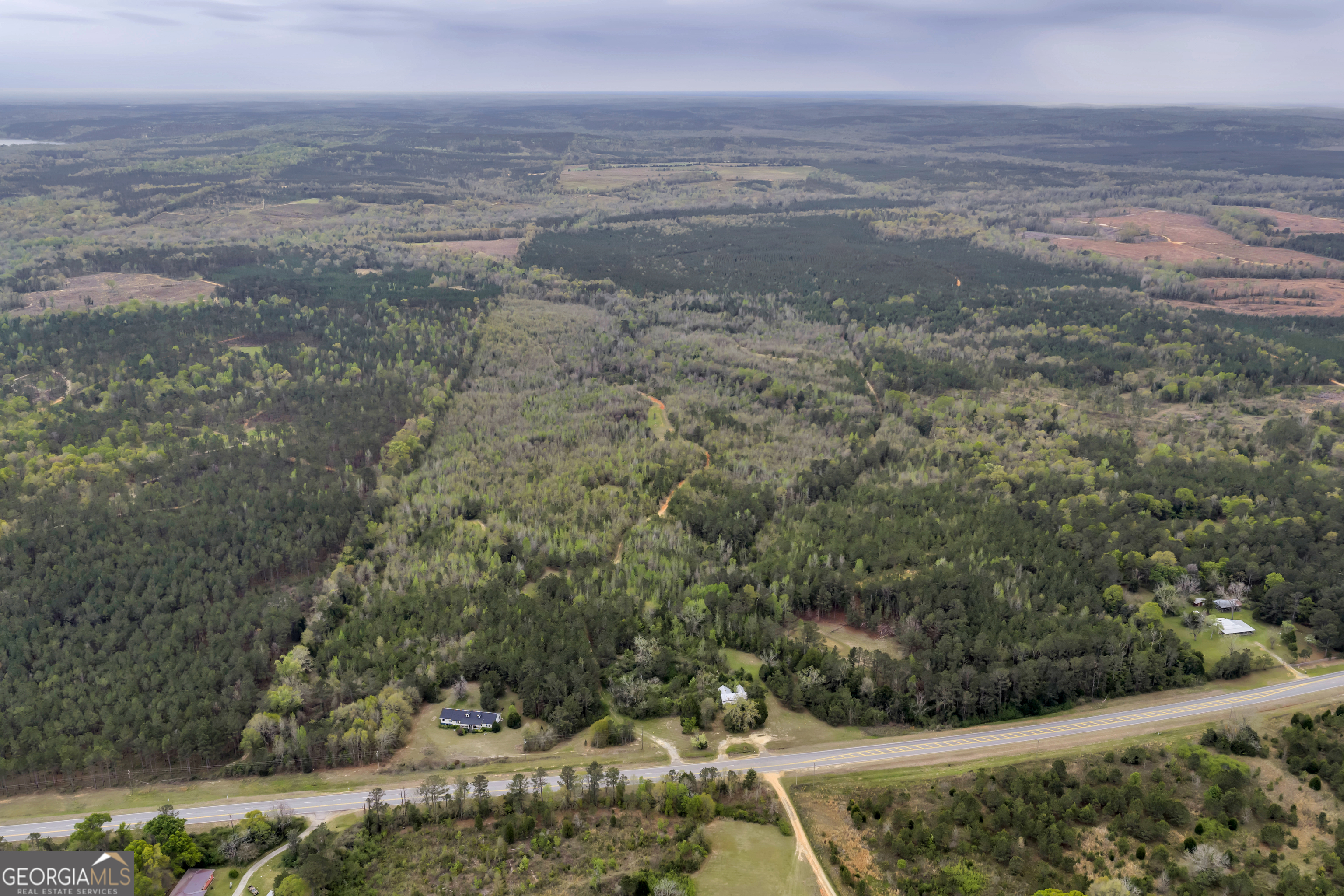 3912 Highway 82 Morris, GA 39867 - Photo 3 of 68