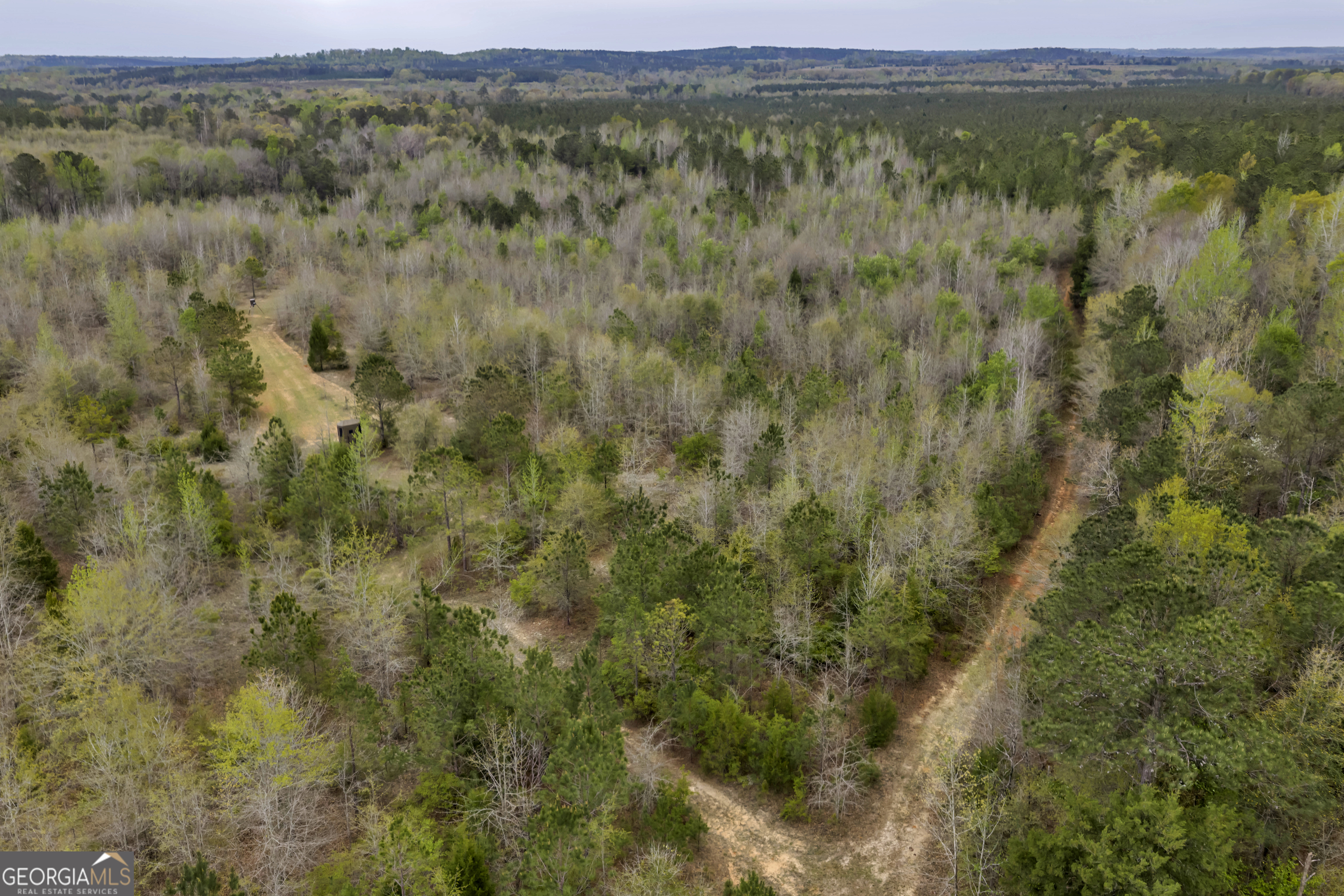 3912 Highway 82 Morris, GA 39867 - Photo 31 of 68