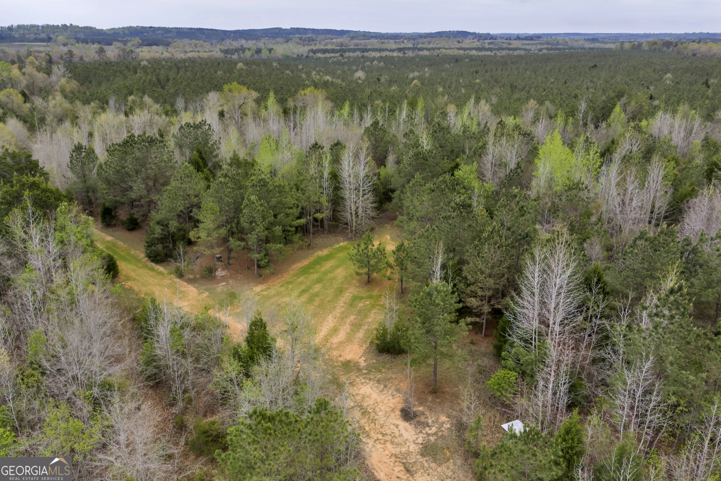 3912 Highway 82 Morris, GA 39867 - Photo 32 of 68