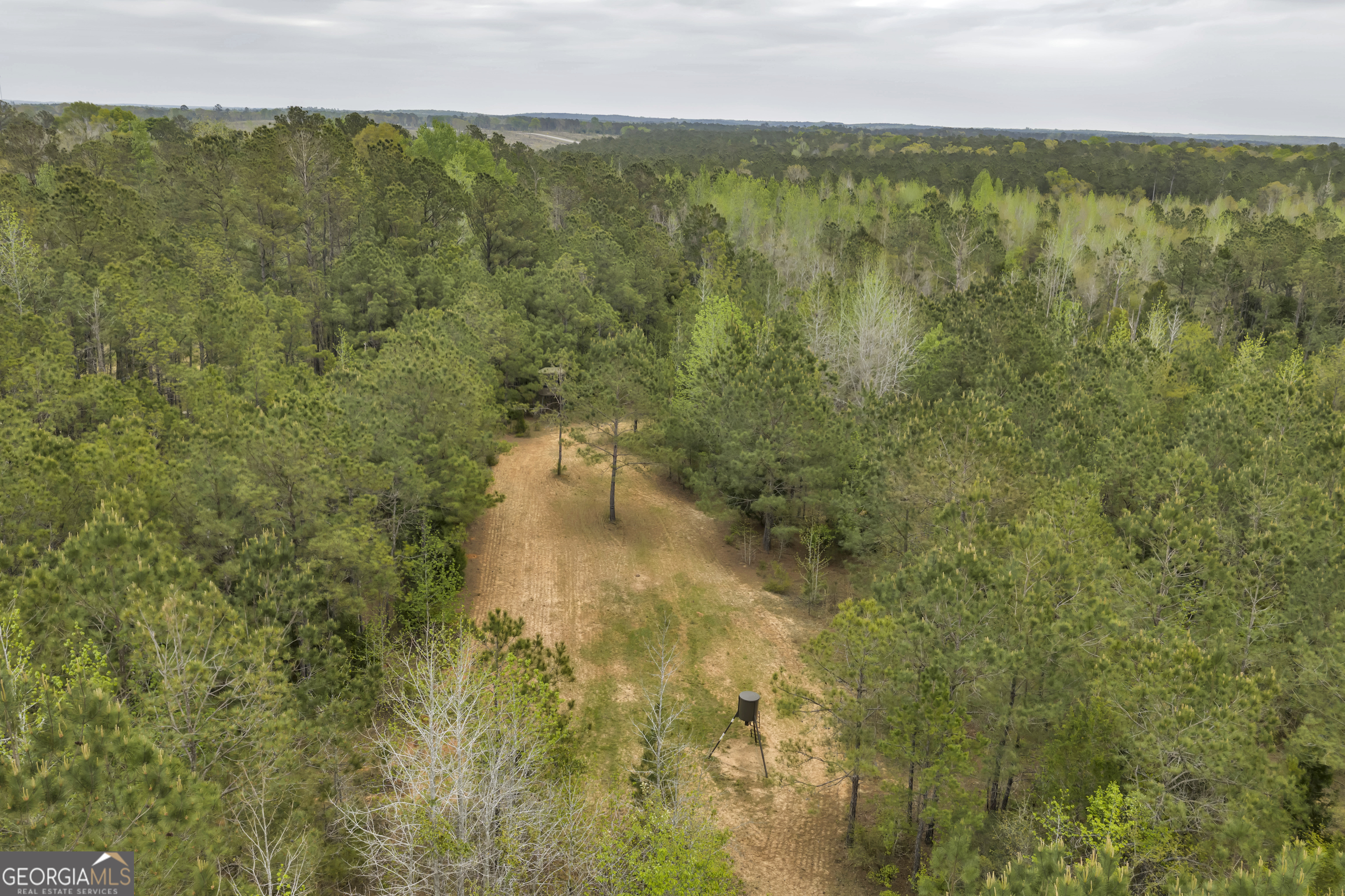 3912 Highway 82 Morris, GA 39867 - Photo 33 of 68