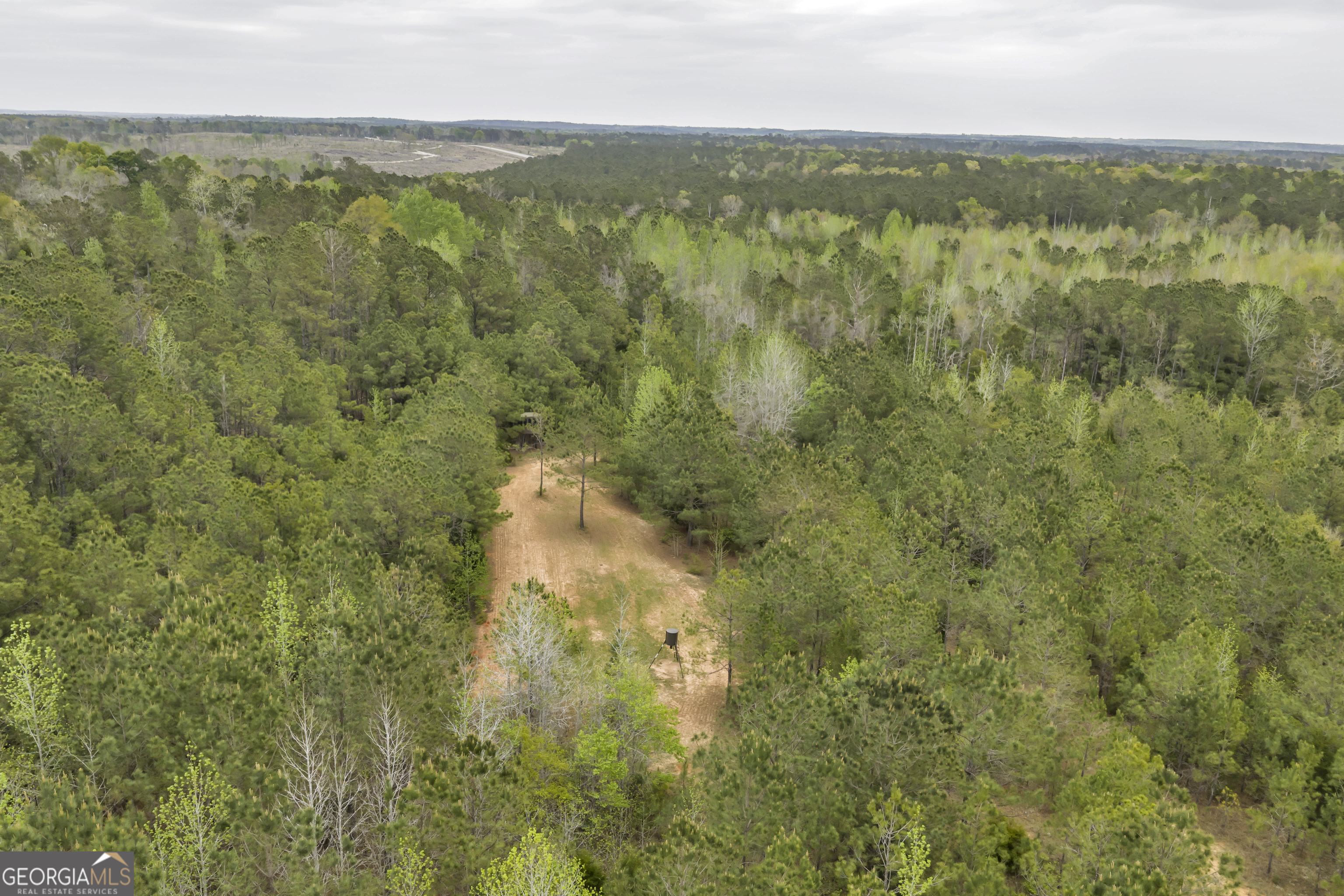 3912 Highway 82 Morris, GA 39867 - Photo 34 of 68
