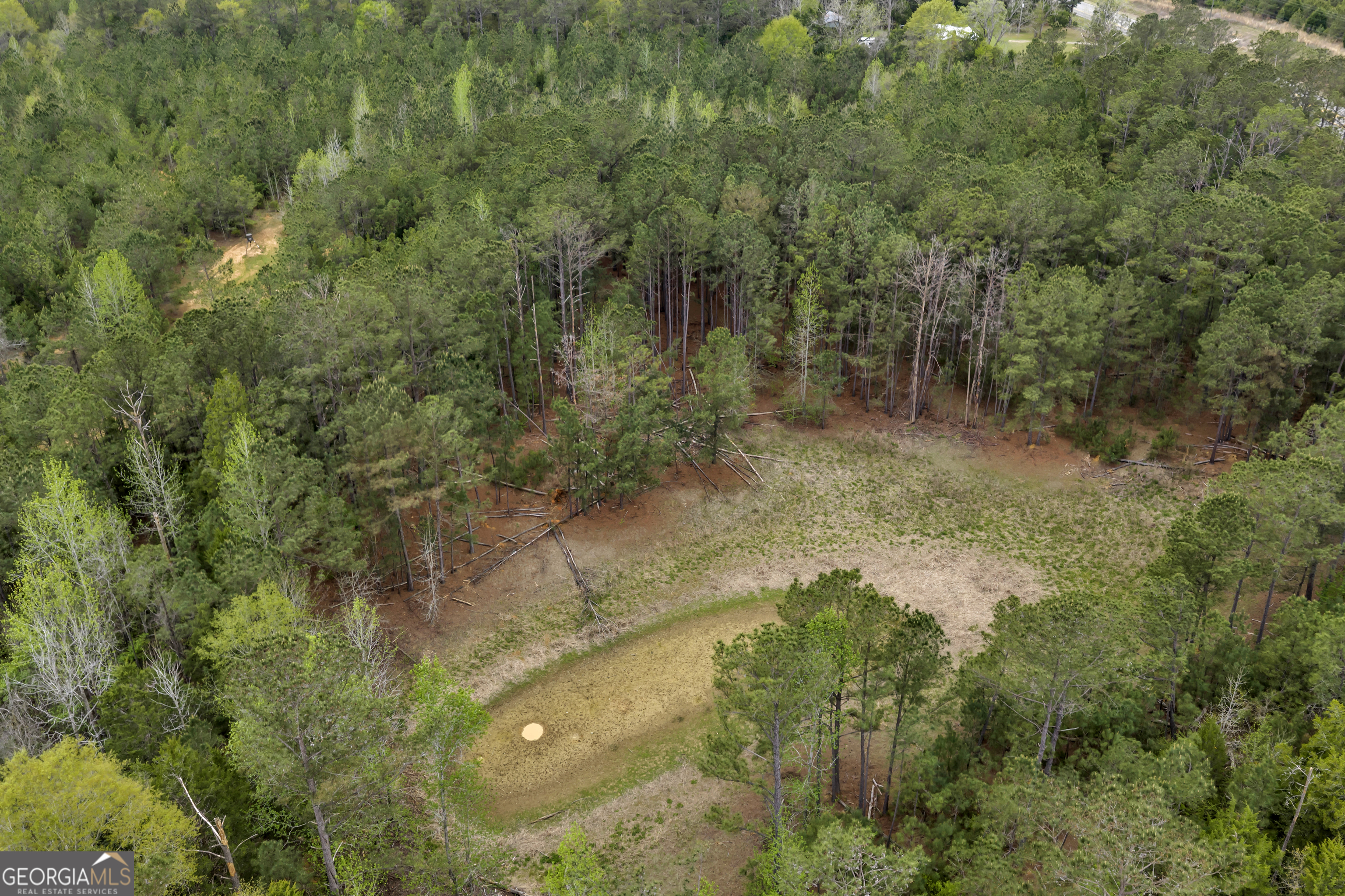 3912 Highway 82 Morris, GA 39867 - Photo 36 of 68