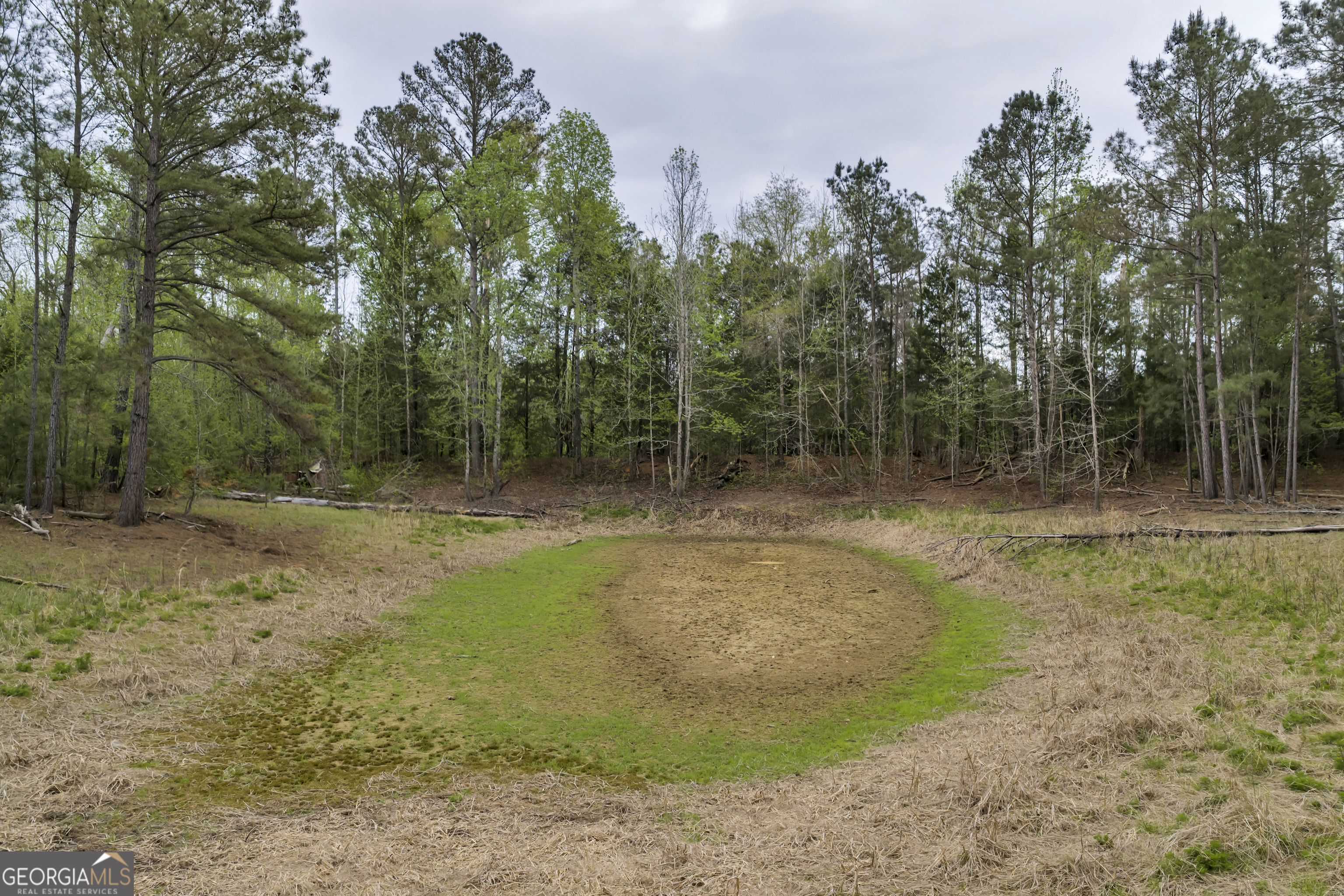 3912 Highway 82 Morris, GA 39867 - Photo 37 of 68