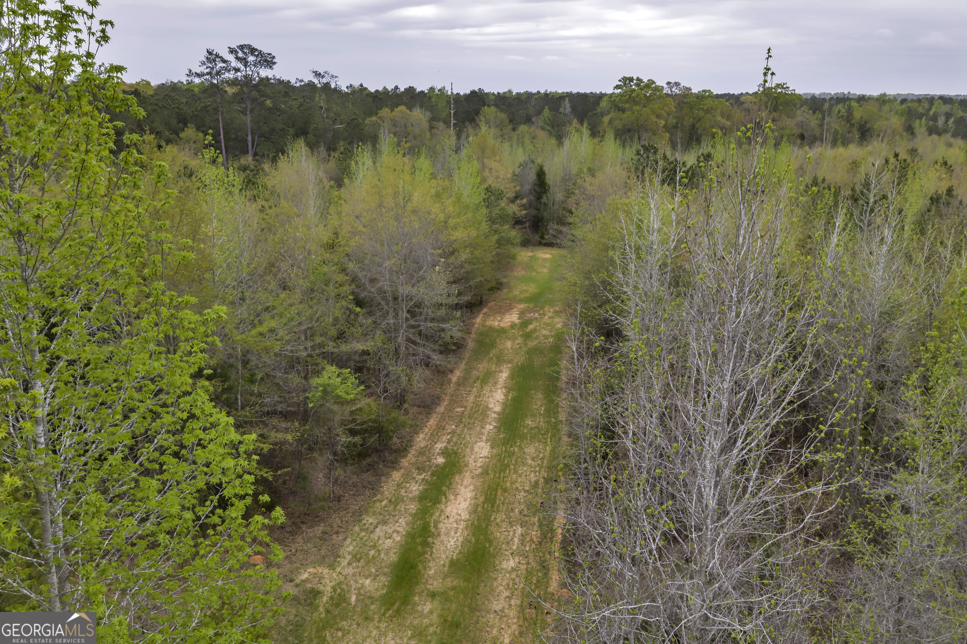 3912 Highway 82 Morris, GA 39867 - Photo 40 of 68