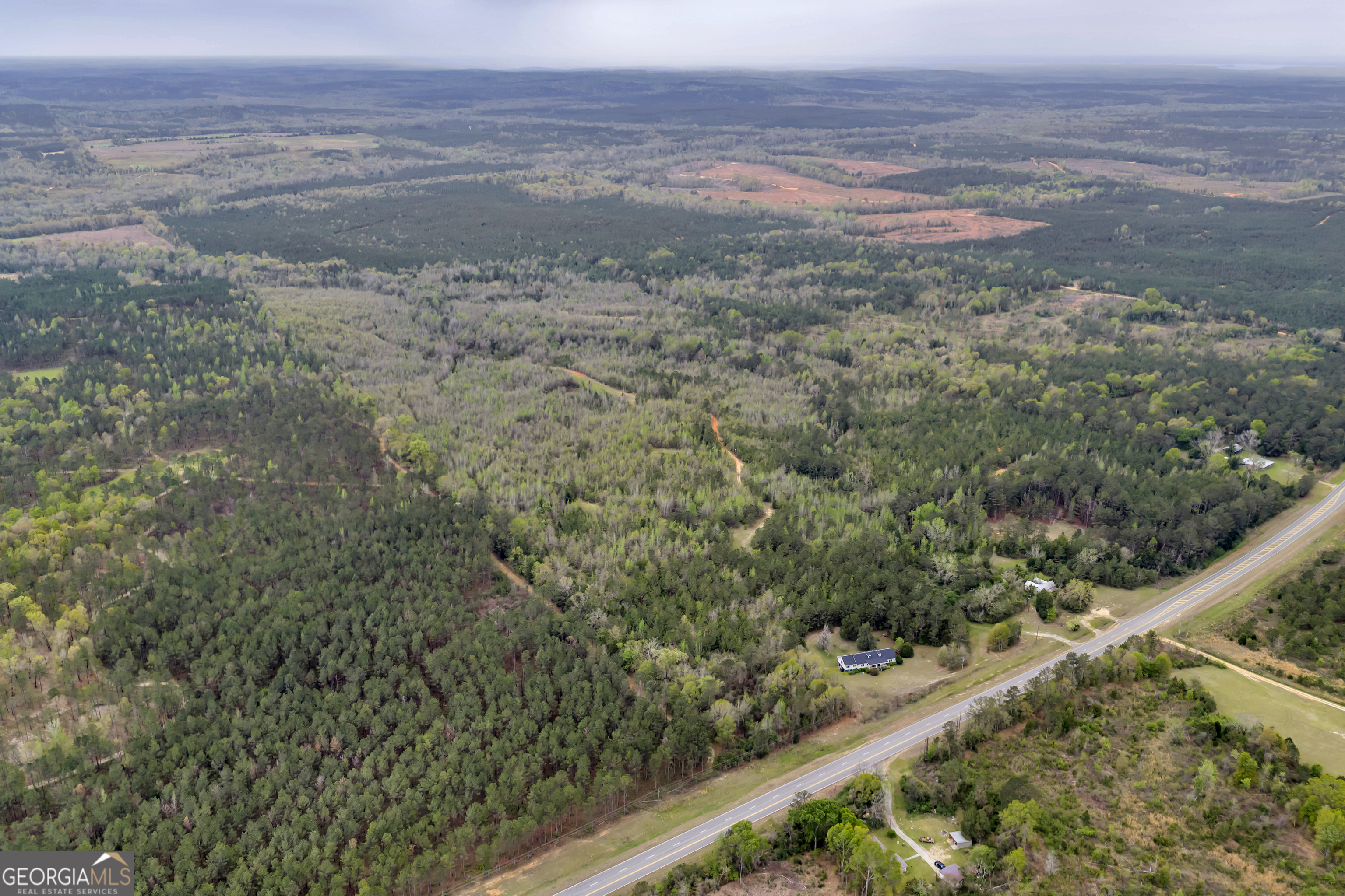 3912 Highway 82 Morris, GA 39867 - Photo 4 of 68