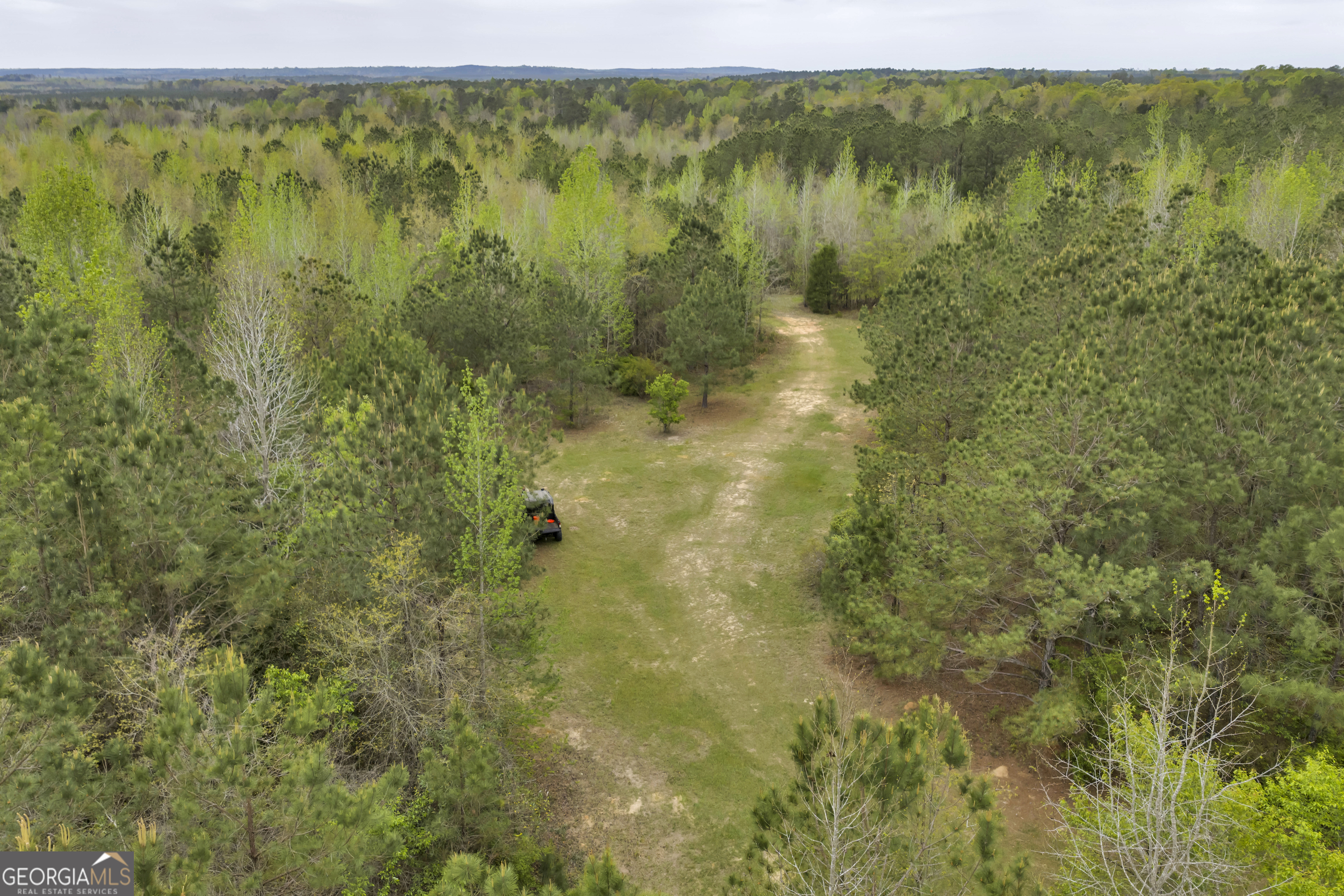 3912 Highway 82 Morris, GA 39867 - Photo 41 of 68