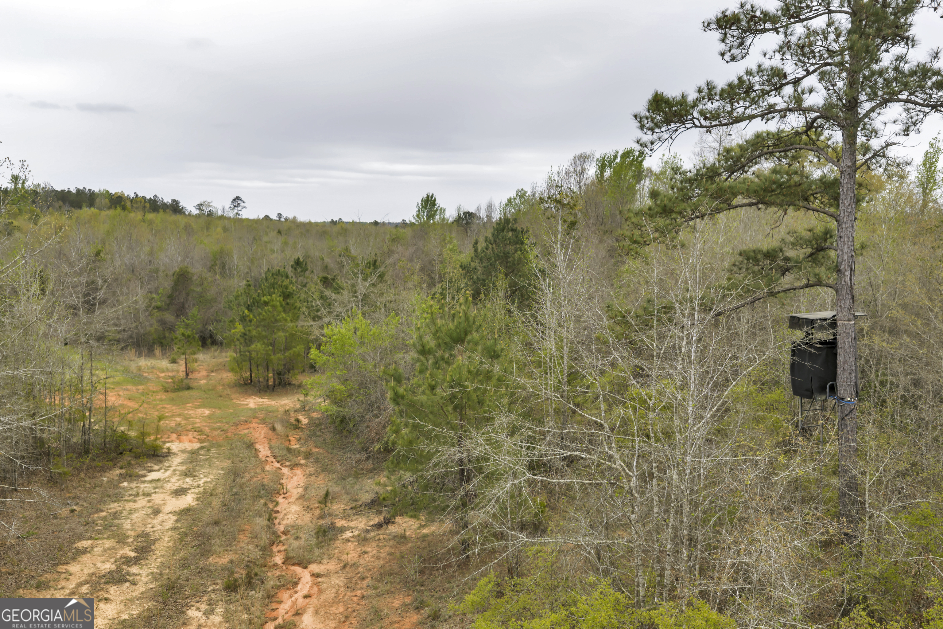 3912 Highway 82 Morris, GA 39867 - Photo 42 of 68
