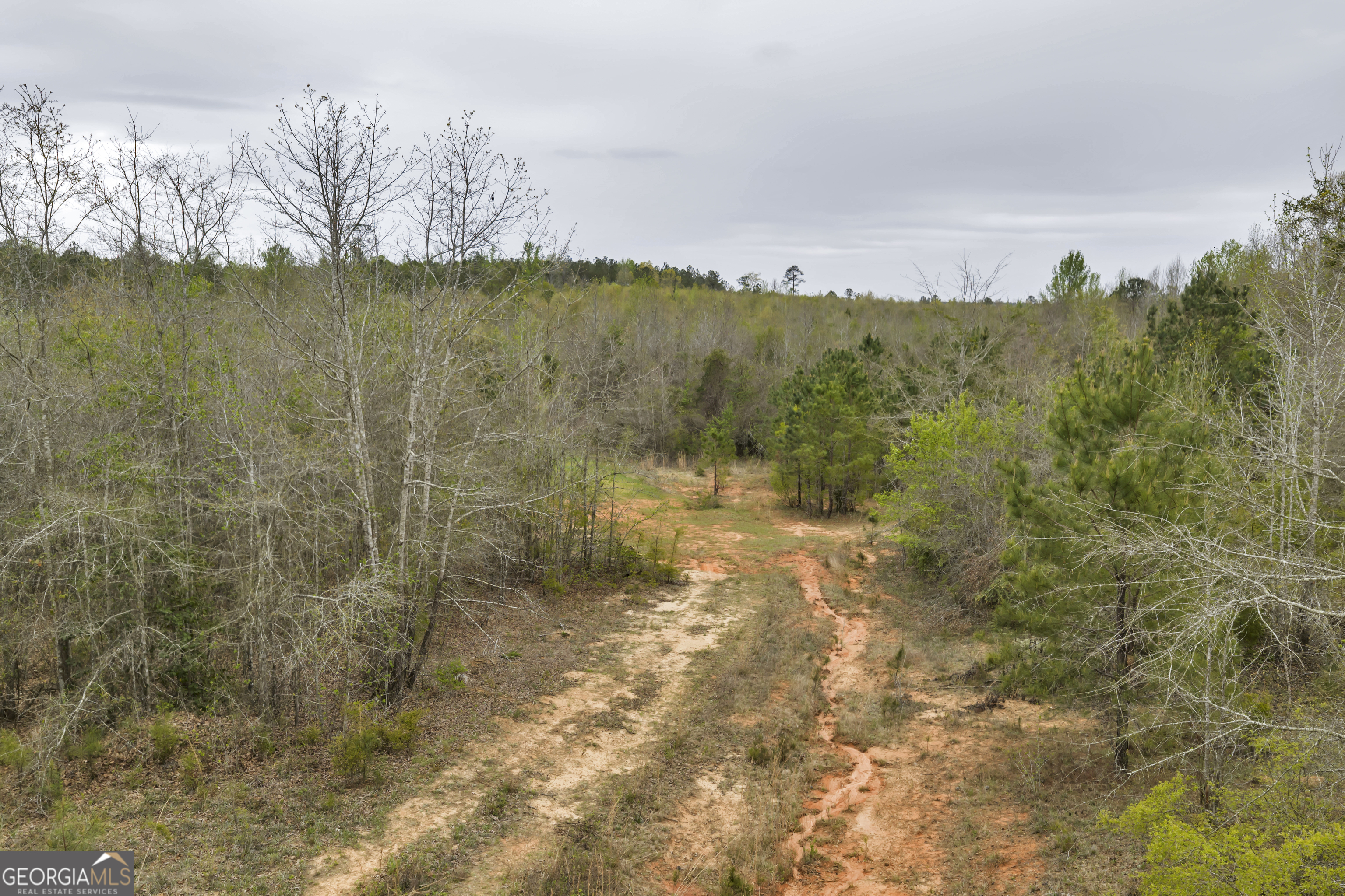 3912 Highway 82 Morris, GA 39867 - Photo 43 of 68