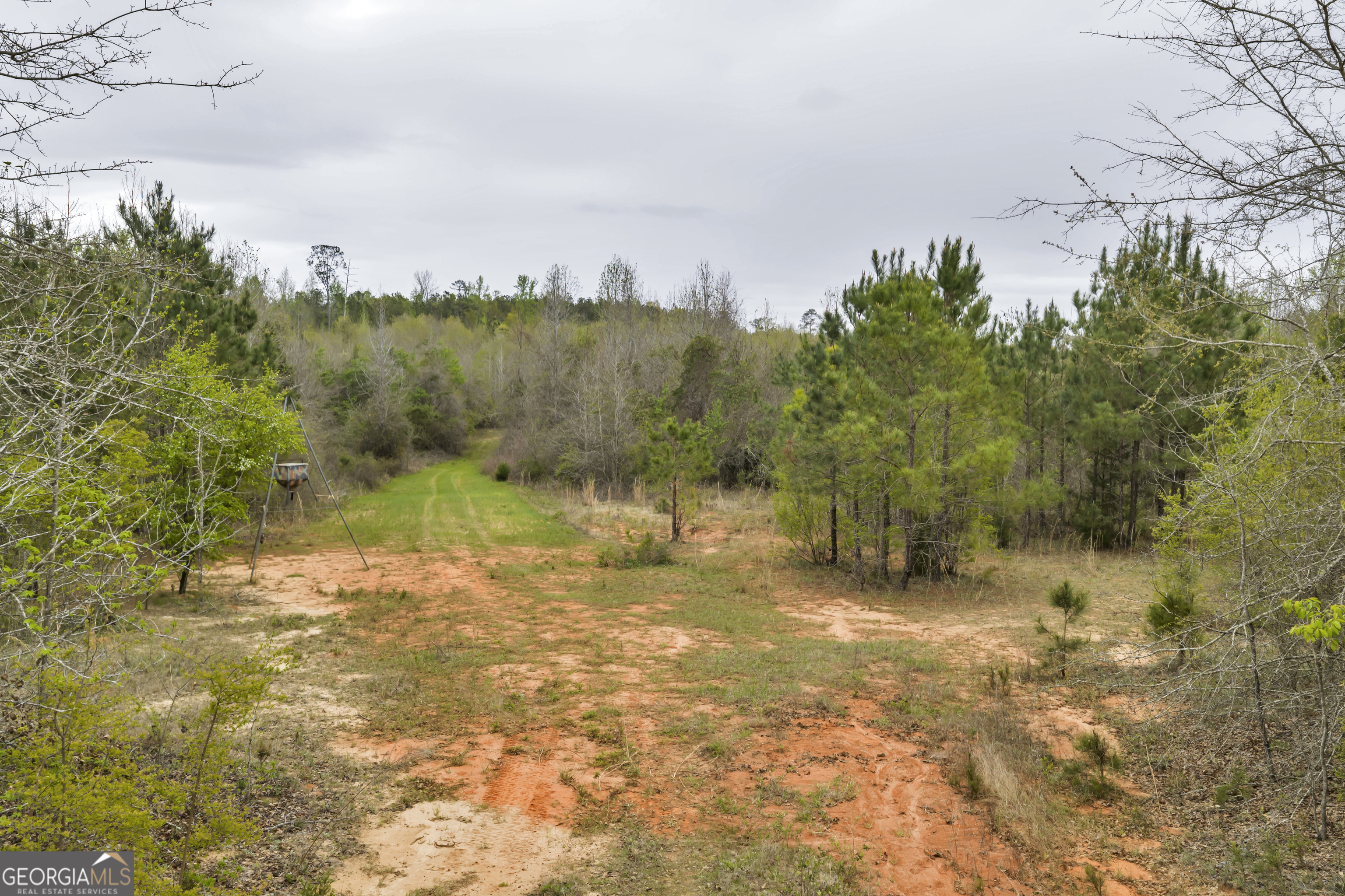 3912 Highway 82 Morris, GA 39867 - Photo 44 of 68