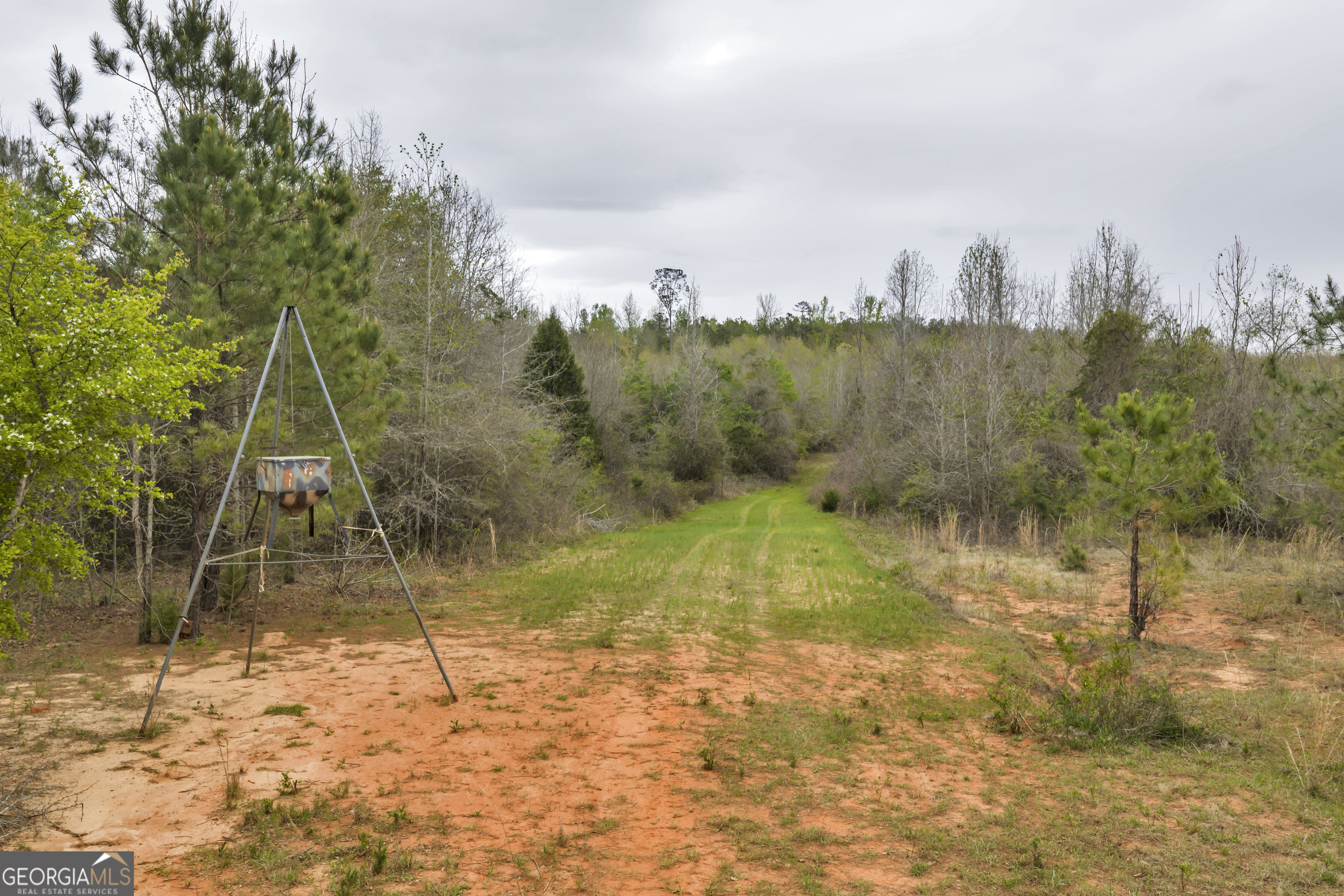 3912 Highway 82 Morris, GA 39867 - Photo 45 of 68
