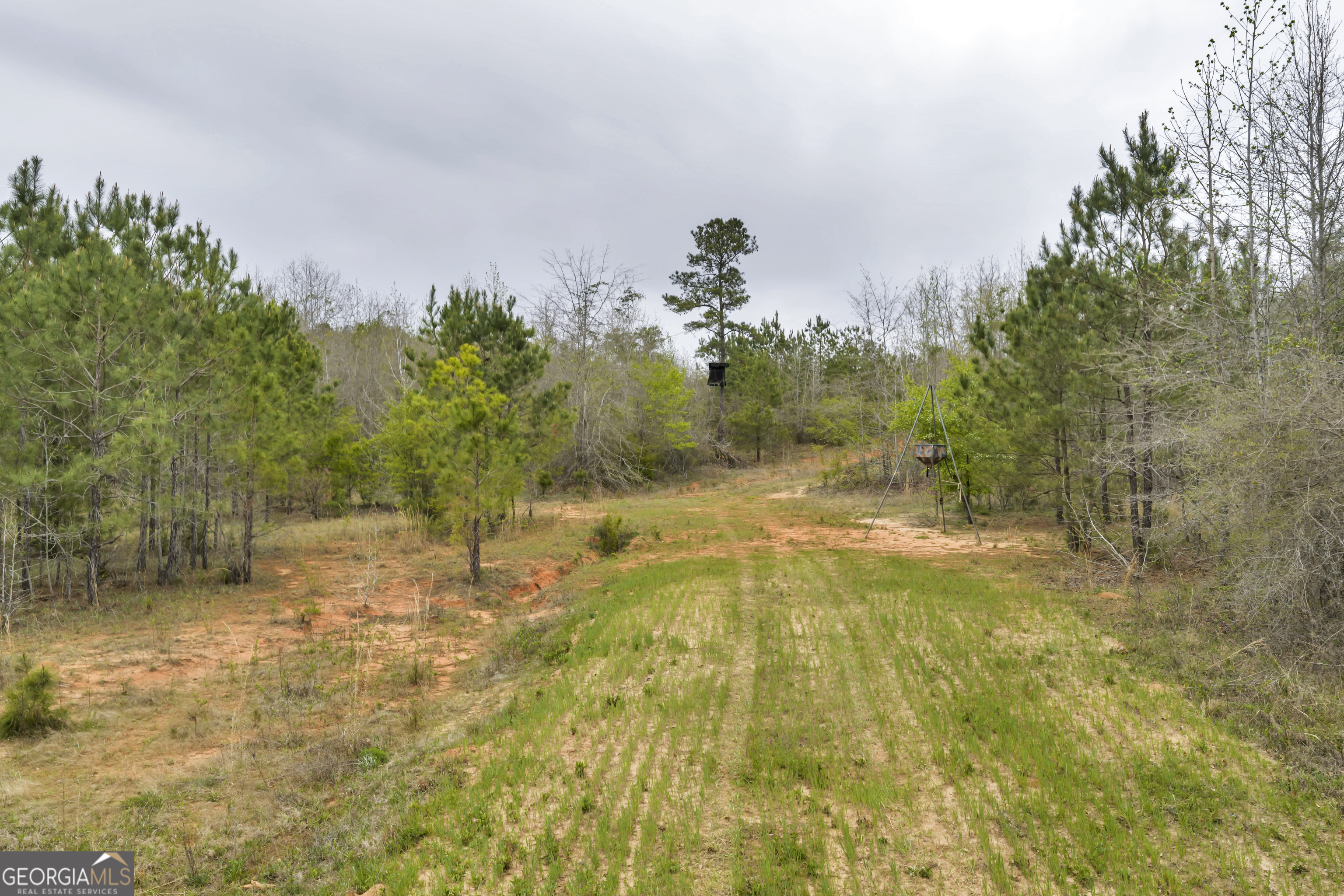 3912 Highway 82 Morris, GA 39867 - Photo 46 of 68