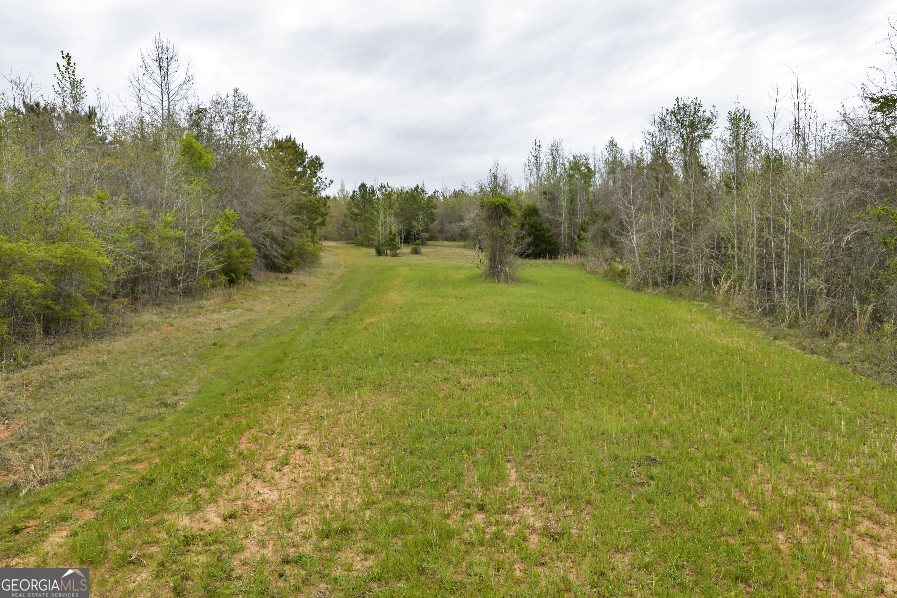 3912 Highway 82 Morris, GA 39867 - Photo 47 of 68