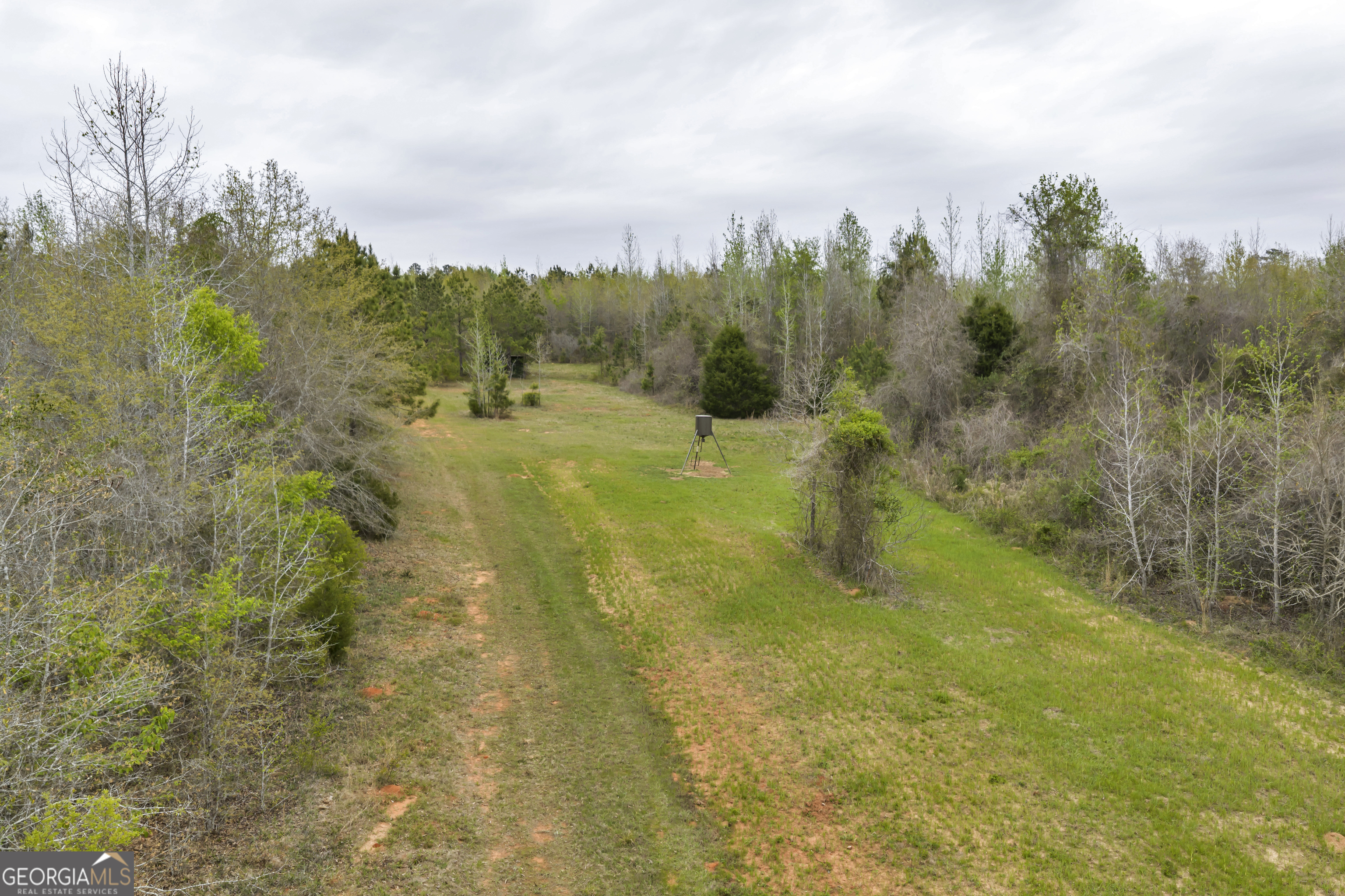 3912 Highway 82 Morris, GA 39867 - Photo 48 of 68