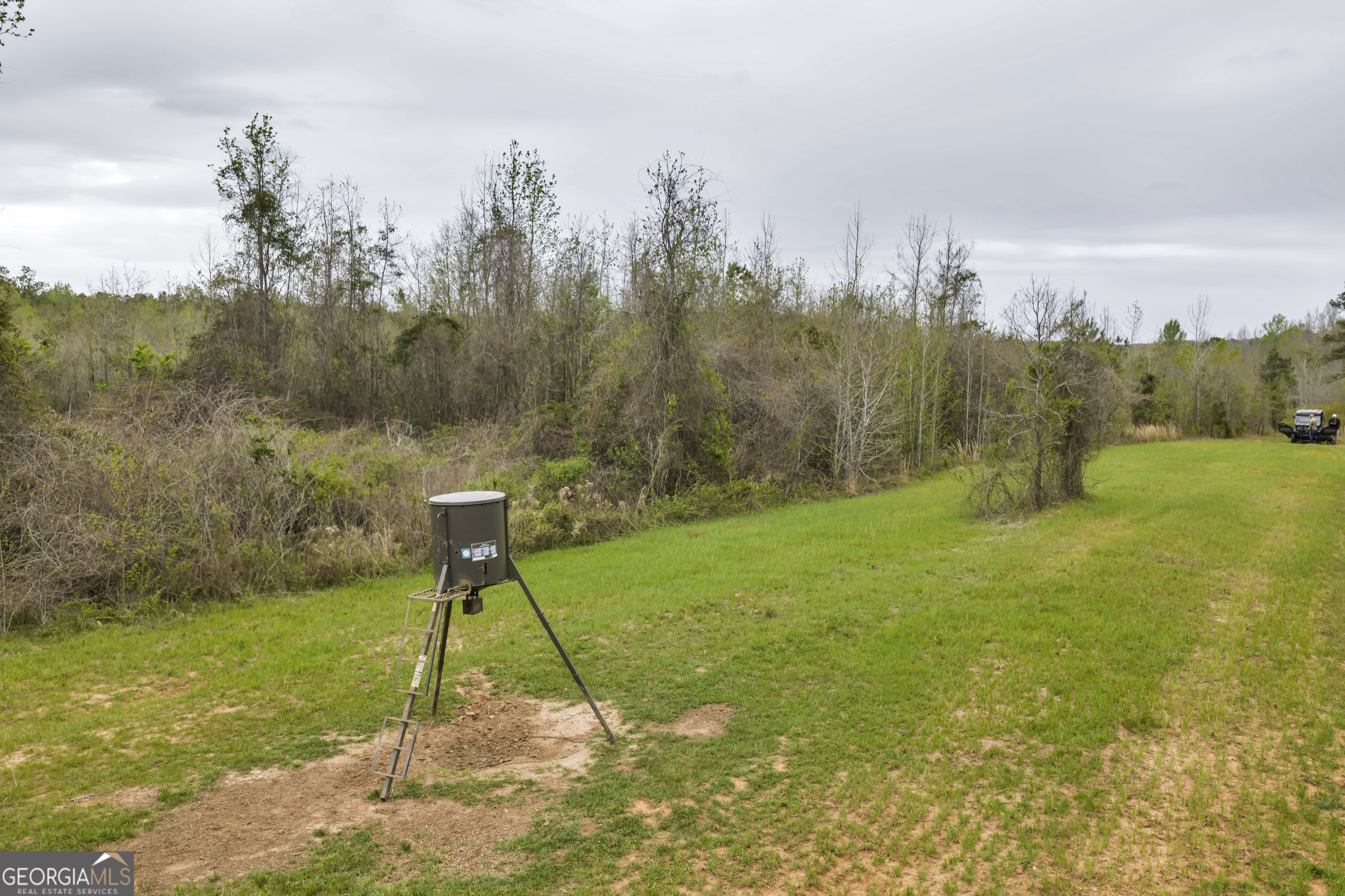 3912 Highway 82 Morris, GA 39867 - Photo 49 of 68