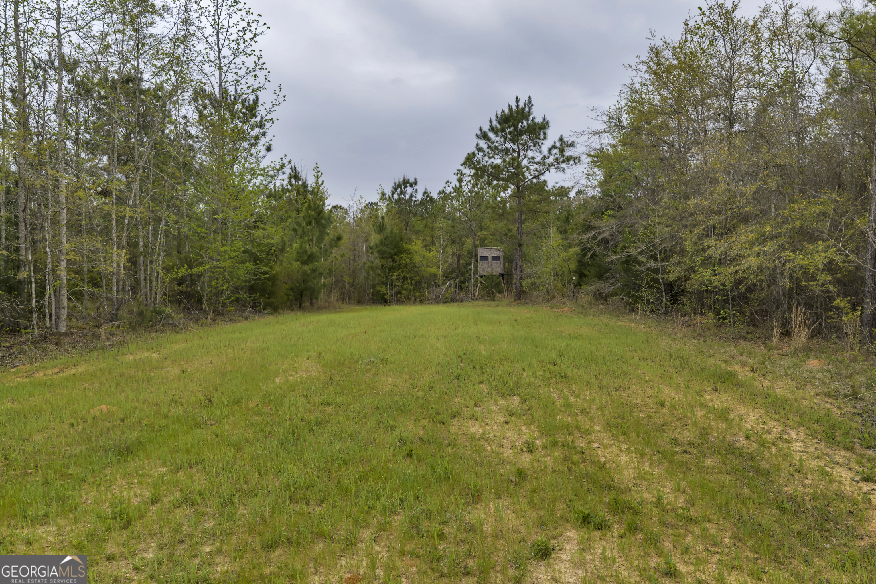 3912 Highway 82 Morris, GA 39867 - Photo 51 of 68