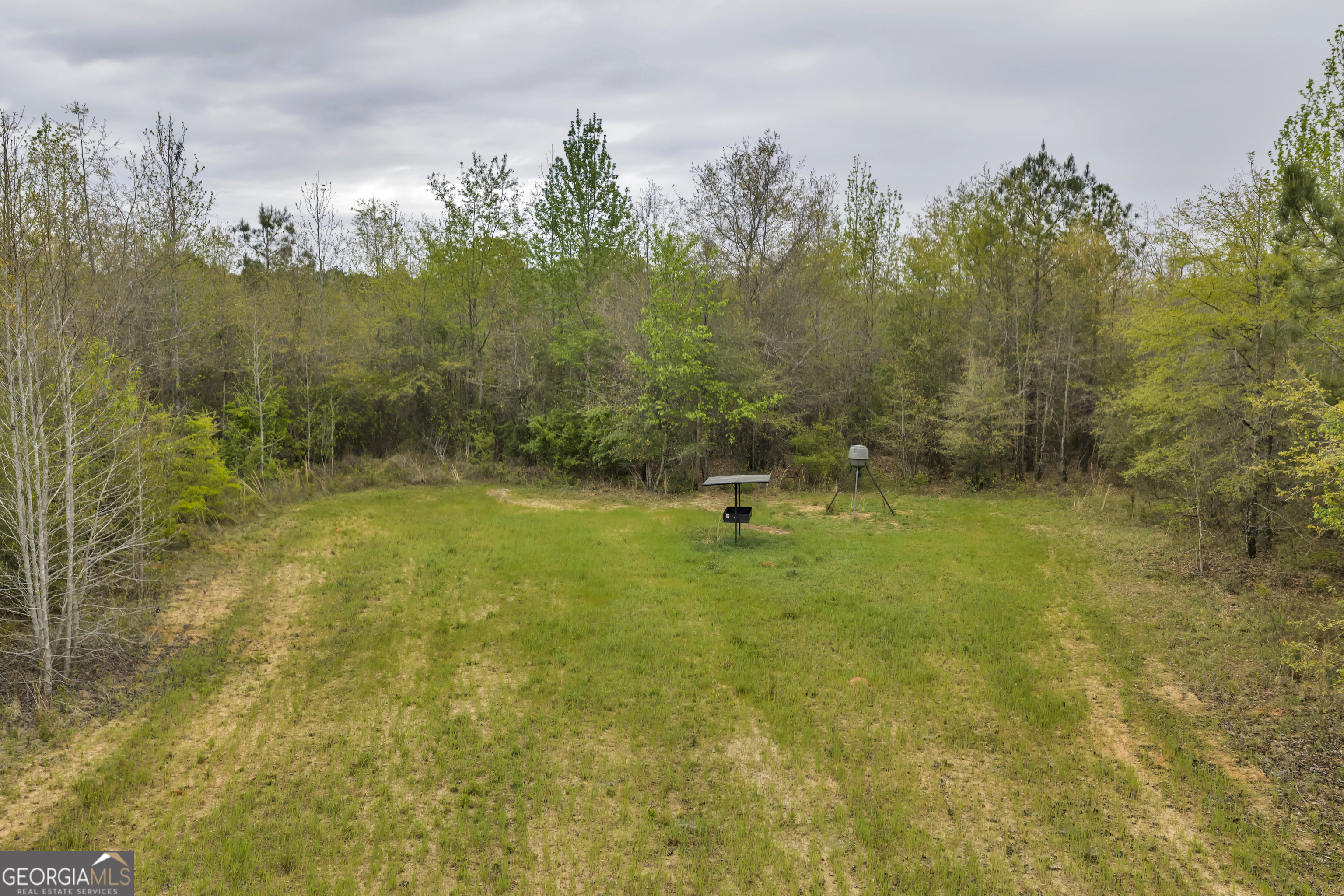 3912 Highway 82 Morris, GA 39867 - Photo 52 of 68